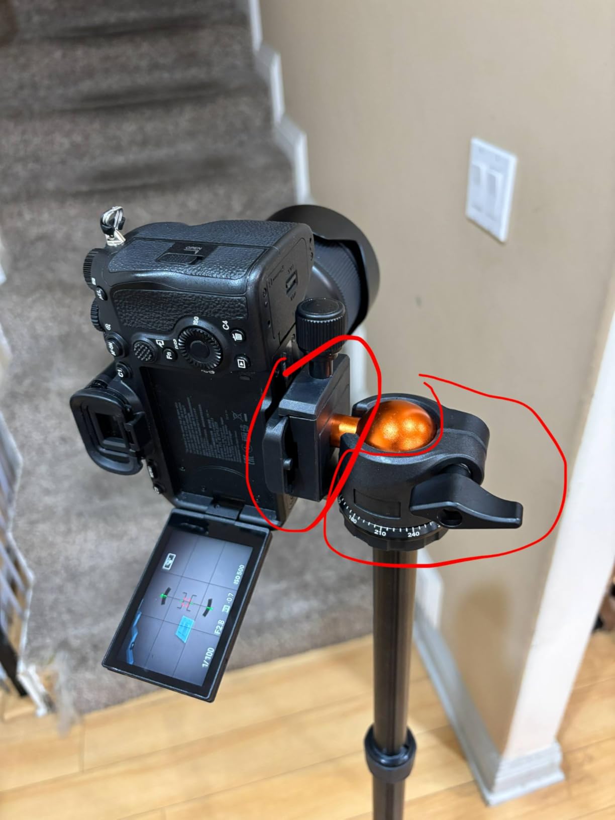 K&F CONCEPT 64 inch/163 cm Camera Tripod,Lightweight Travel Outdoor DSLR Tripods with 360 Degree Ball Head Load Capacity 17.6 lbs/8 kg,Cellphone Clip for Smartphone Live Streaming Vlog O234A1+BH-36 Customer Review K&F CONCEPT 64 inch/163 cm Camera Tripod,Lightweight Travel Outdoor DSLR Tripods with 360 Degree Ball Head Load Capacity 17.6 lbs/8 kg,Cellphone Clip for Smartphone Live Streaming Vlog O234A1+BH-36 - Customer Photo 4