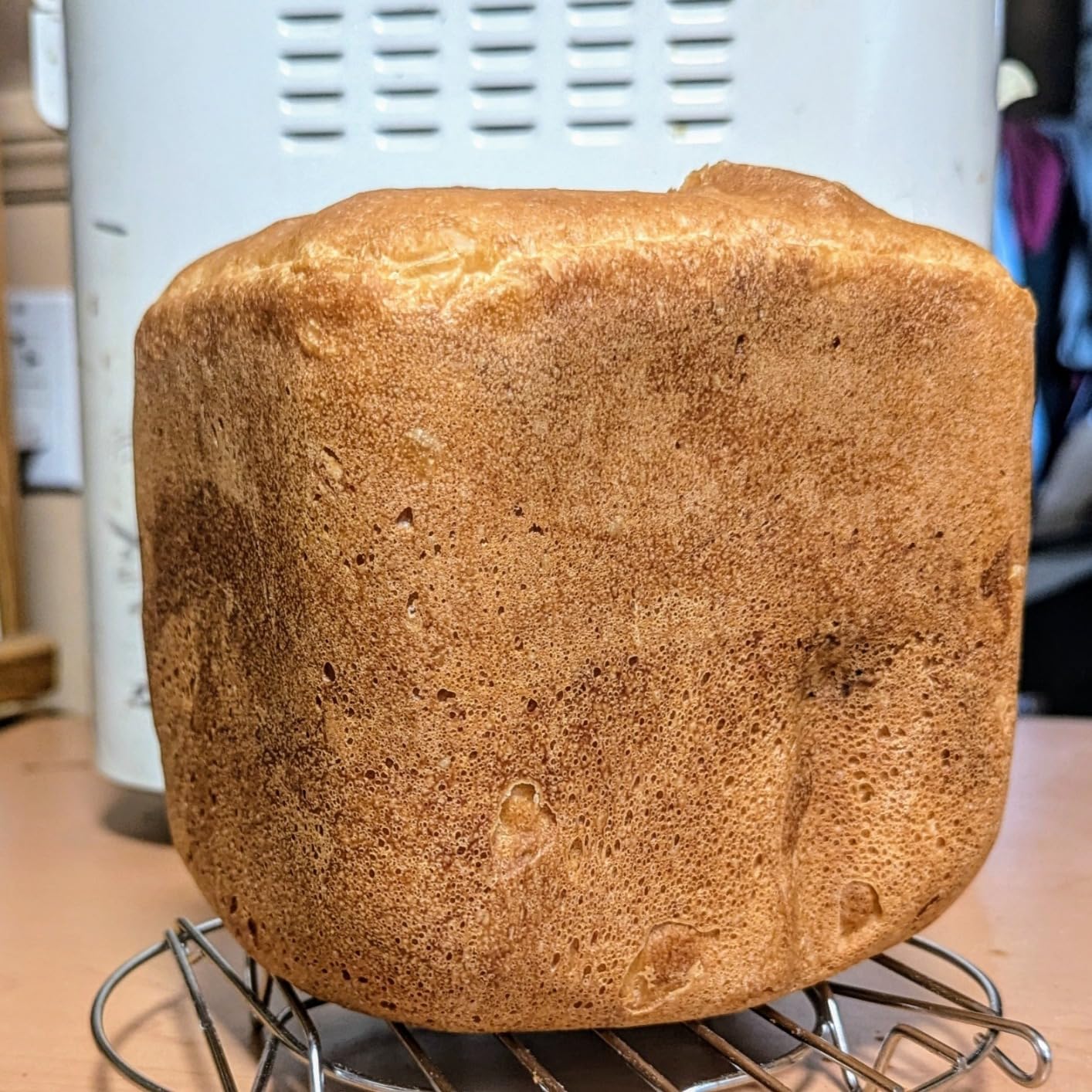 Panasonic Bread Machine, Automatic Bread Maker with 20 Presets and Advanced Temperature Sensor for Bread, Cake, and Pizza, Gluten Free Baking, Raisin Nut Dispenser - SD-R2550 - Customer Photo 1
