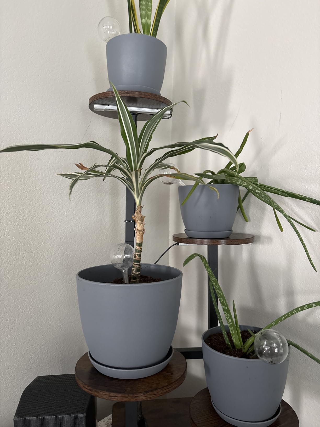 Utopia Home Plant Pots Indoor with Drainage Holes – Set of 5 White Plastic Flower Pots (7/6.6/6/5.3/4.8 Inch) – Modern Planters for Indoor Plants, Room & Office Décor, Great Stocking Stuffers - Customer Photo 2