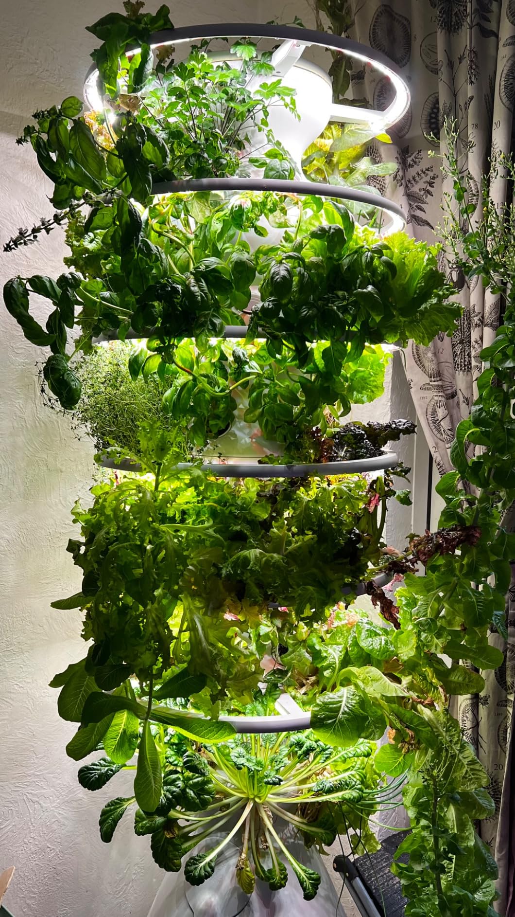 Lettuce Grow Farmstand Starter Kit with Glow Rings and 30 Seedling Credits | Family Hydroponic Growing System Kit | Vertical Garden Planter Tower | 5ft 5in Tall - Customer Photo 4