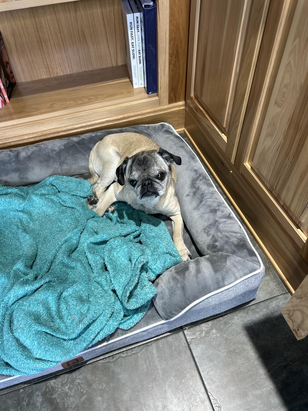 EHEYCIGA Orthopedic Dog Beds for Extra Large Dogs 44x32Inch, Waterproof Memory Foam XL Pet Bed with Sides, Non-Slip and Egg-Crate Foam Big Dog Couch Bed with Washable Removable Cover, Grey - Customer Photo 1