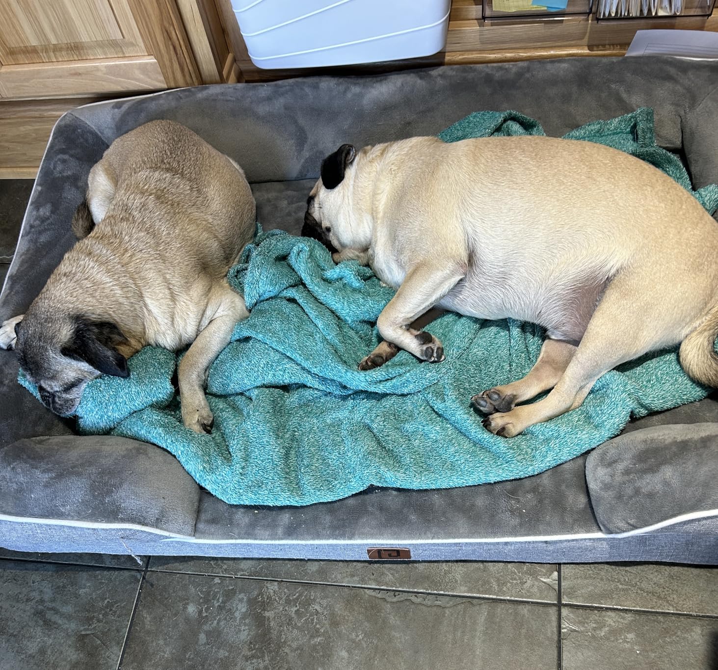EHEYCIGA Orthopedic Dog Beds for Extra Large Dogs 44x32Inch, Waterproof Memory Foam XL Pet Bed with Sides, Non-Slip and Egg-Crate Foam Big Dog Couch Bed with Washable Removable Cover, Grey - Customer Photo 2