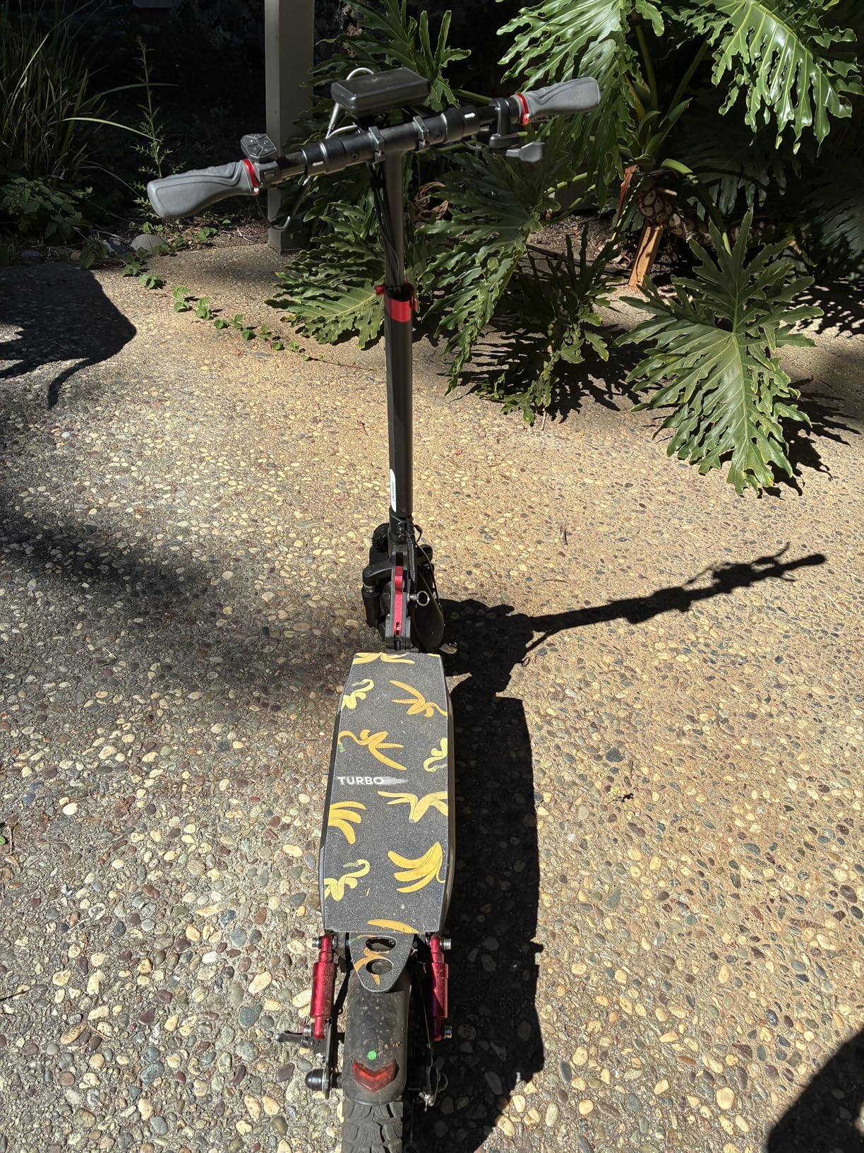 iScooter Electric Scooter, 800W Motor E-Scooter Up to 25/28 Miles Range, Top Speed 25/28 MPH,10