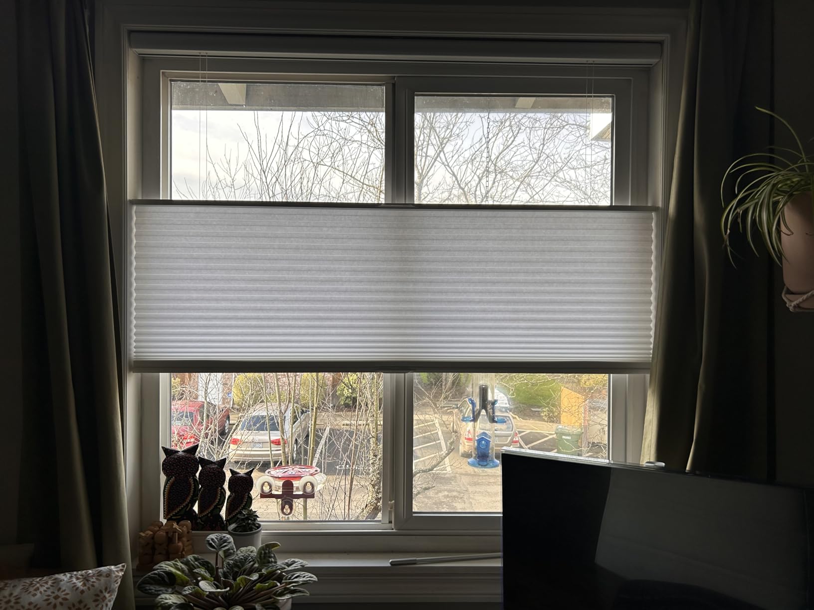 Persilux Custom Size Cellular Shades Top Down Bottom Up Cordless Light Filtering Honeycomb Blinds Thermal UV Protection Energy Saving Pleated Window Shades for Indoor Windows Easy to Install White - Customer Photo 1