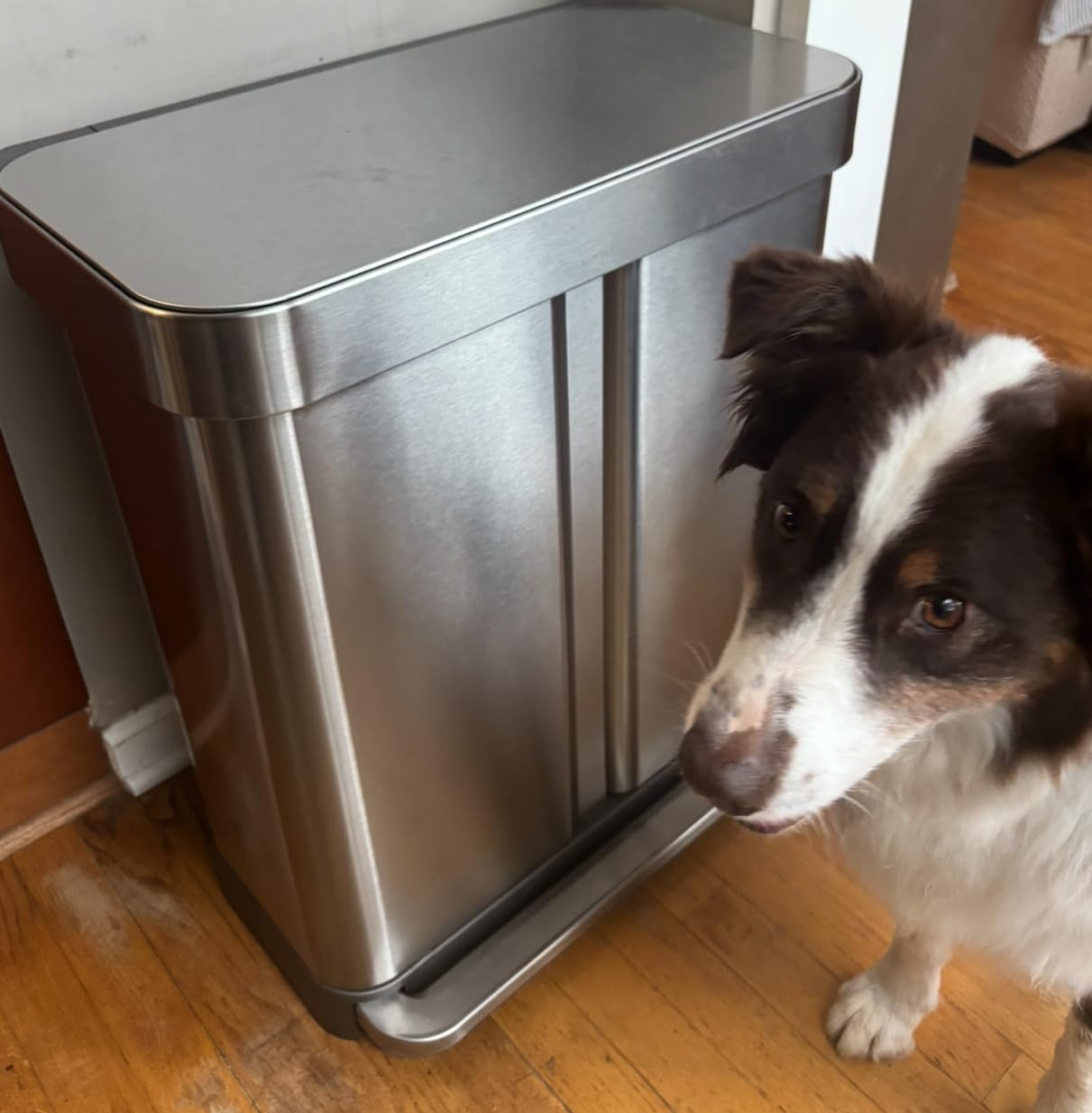 simplehuman 58 Liter / 15.3 Gallon Rectangular Dual Compartment Recycling Step, Brushed Stainless Steel with Soft-Close Plastic Lid Customer Review simplehuman 58 Liter / 15.3 Gallon Rectangular Dual Compartment Recycling Step, Brushed Stainless Steel with Soft-Close Plastic Lid - Customer Photo 1