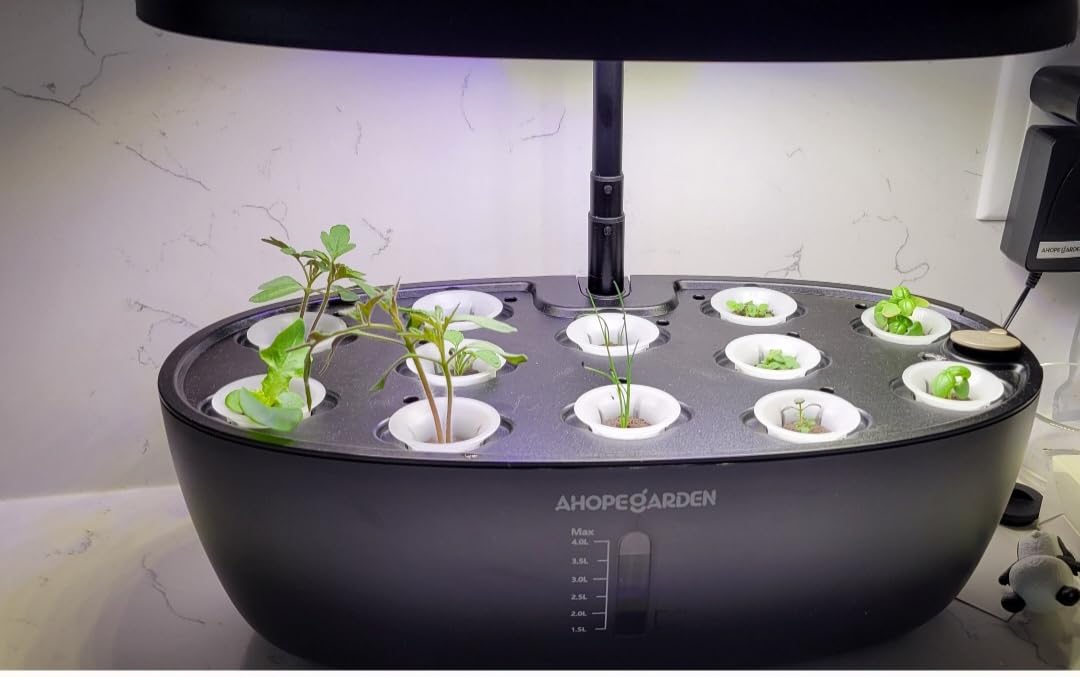 Ahopegarden Indoor Garden Hydroponics Growing System: 12 Pods Plant Germination Kit Garden Kit Growth Lamp Countertop with LED Grow Light Hydrophonic Planter Grower - Customer Photo 1