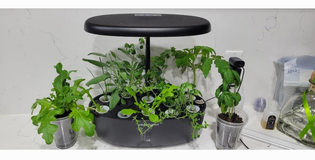 Ahopegarden Indoor Garden Hydroponics Growing System: 12 Pods Plant Germination Kit Garden Kit Growth Lamp Countertop with LED Grow Light Hydrophonic Planter Grower - Customer Photo 2