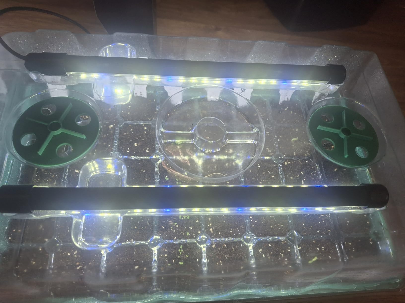 Sondiko Seed Starter Tray with Grow Light, 80 Cells Seed Starter Kit with Humidity Dome, Adjustable Brightness Plant Starter Trays, Indoor Plants Germination Kit (2 Pack) - Customer Photo 1