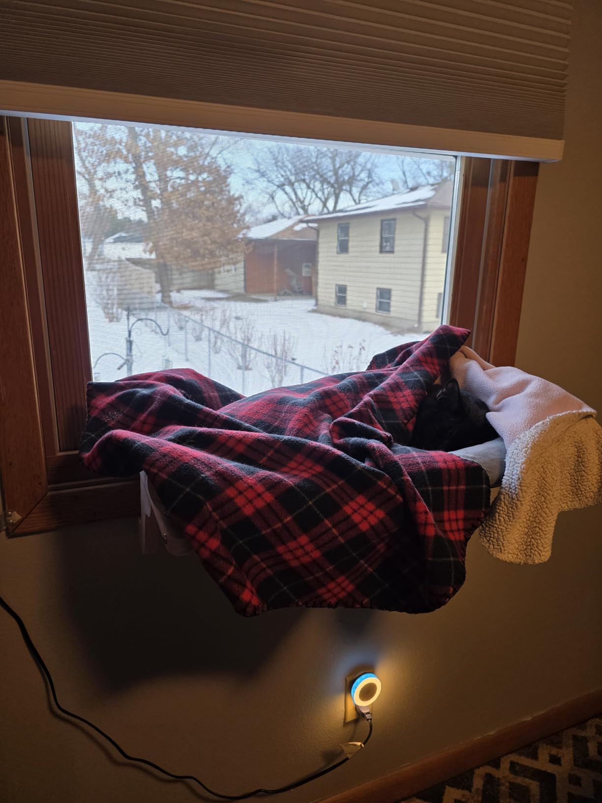 Zakkart Cat Perch for Window Sill with Bolster - Orthopedic Hammock Design with Premium Hardwood & Robust Metal Frame - Cat Window Seat for Large Cats and Kittens - Natural Color Wood Gray Bed, 24''W customer photo 2