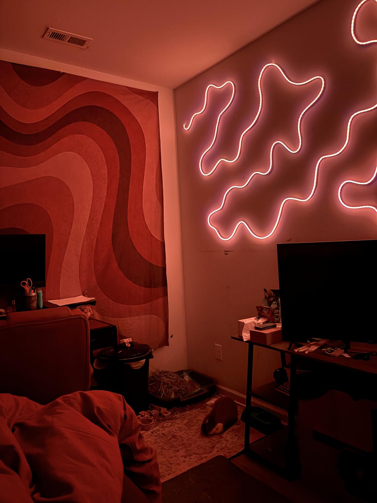 AILBTON 20Ft Neon Rope Lights,Flexible Led Rope Lights Control with App/Remote,Multiple Modes Music Sync Gaming RGB Led Neon Lights for Bedroom Outdoor Customer Review AILBTON 20Ft Neon Rope Lights,Flexible Led Rope Lights Control with App/Remote,Multiple Modes Music Sync Gaming RGB Led Neon Lights for Bedroom Outdoor - Customer Photo 2