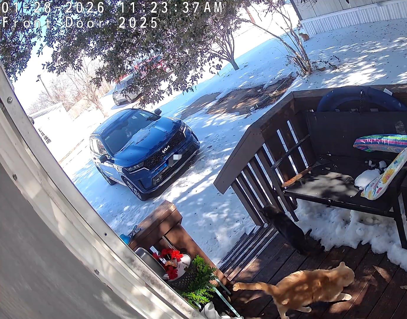 Tapo 2K+ Indoor/Outdoor Wired Security Camera - 2024 PCMag Editors' Choice, Person/Pet/Vehicle Detection, Baby Monitoring, Color Night Vision, Subscription-Free Local Storage or Optional Cloud, C120 - Customer Photo 2