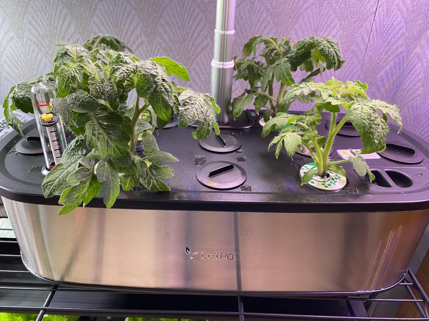 LetPot LPH-Max Hydroponics Growing System Kit, 21 Pods APP & WiFi Automatic Controlled Smart Indoor Garden with 36W LED Grow Light, Auto Drip Irrigation Kits, Self-Managed Nurturing & Watering - Customer Photo 1