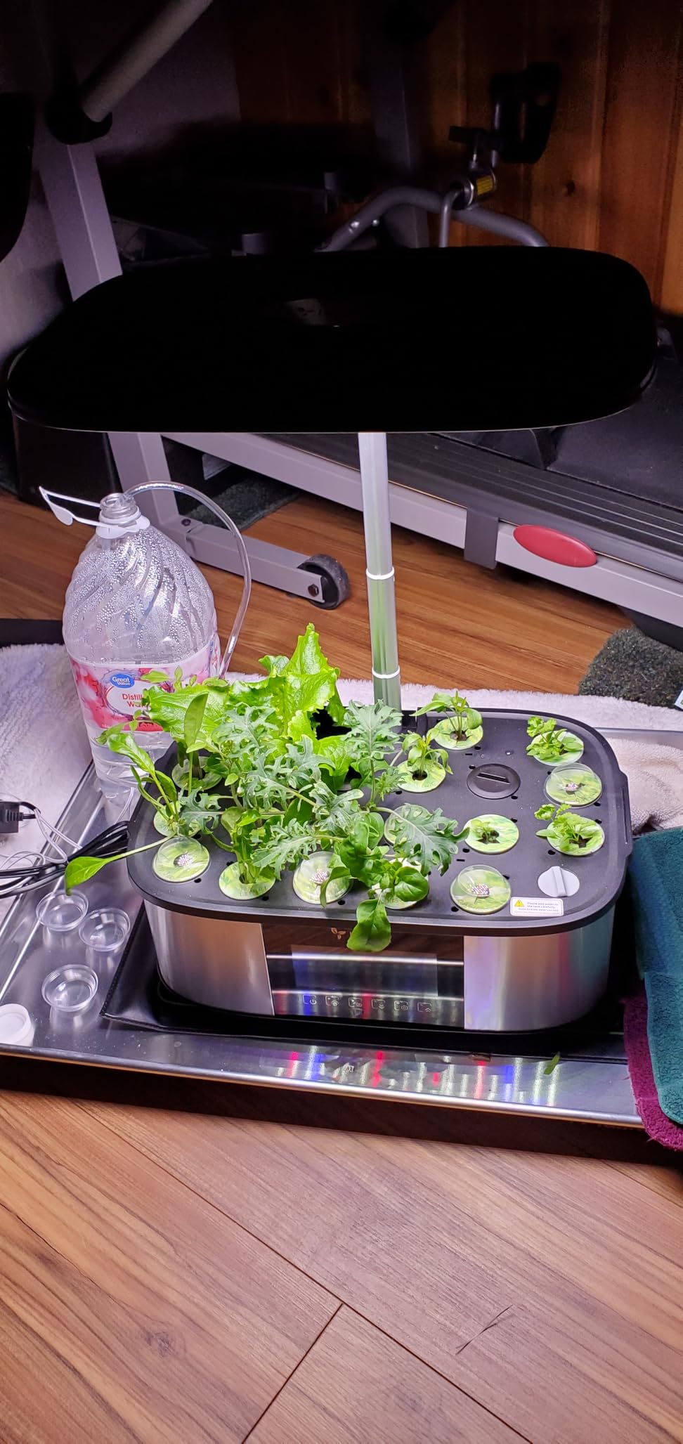LetPot LPH-Max Hydroponics Growing System Kit, 21 Pods APP & WiFi Automatic Controlled Smart Indoor Garden with 36W LED Grow Light, Auto Drip Irrigation Kits, Self-Managed Nurturing & Watering - Customer Photo 5