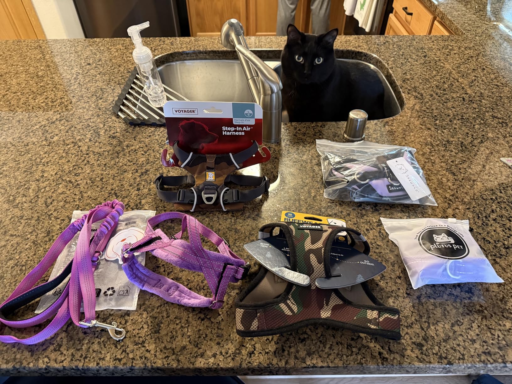 Ruffwear Front Range Dog Harness, Reflective Soft Padded Everyday Harness with Dual Leash Clips, Adjustable and Lightweight Fit for Training or Walking for All Dogs - Customer Photo 3