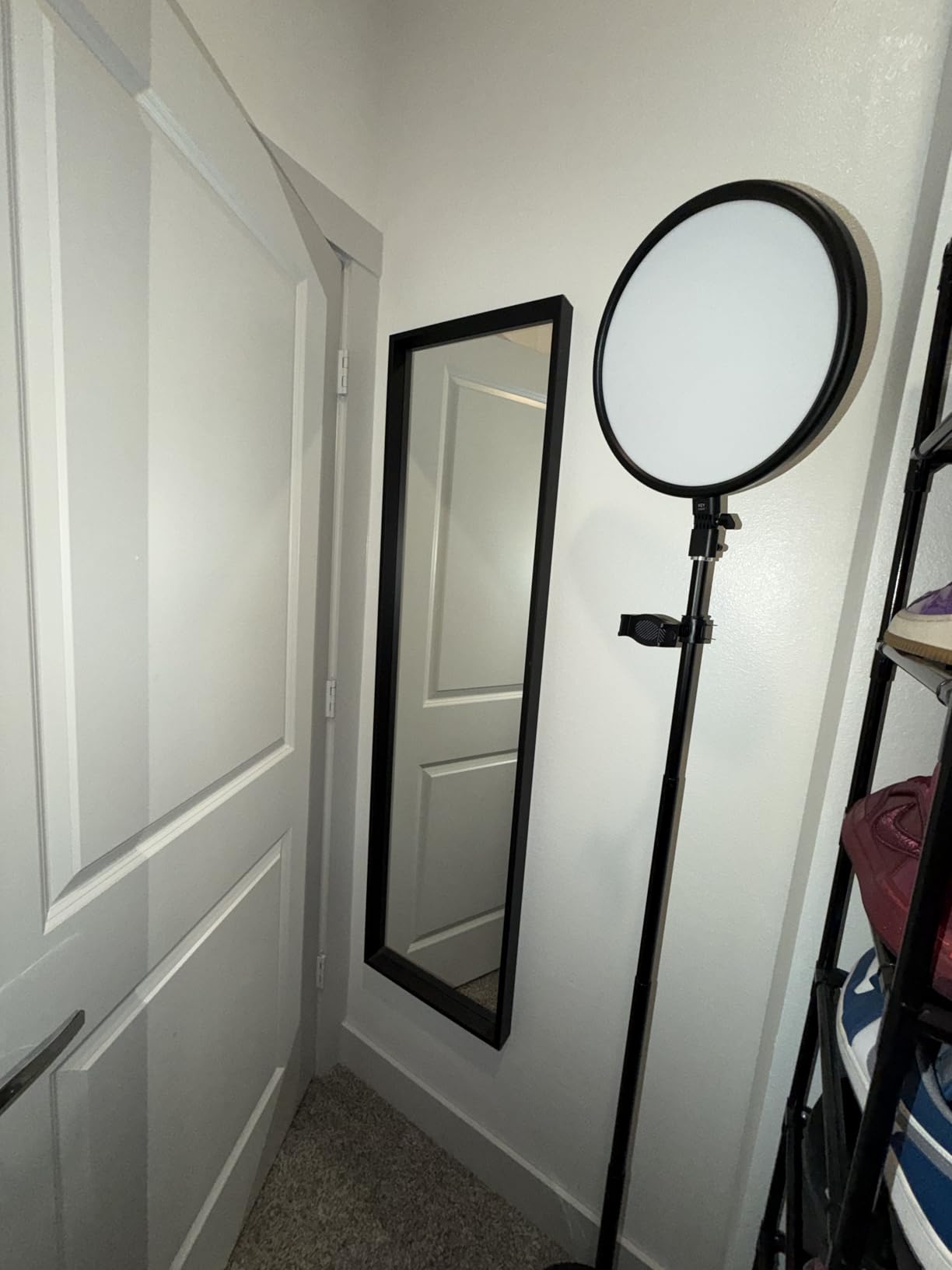 TODI Large Ring Light with 79 TODI Large Ring Light with 79