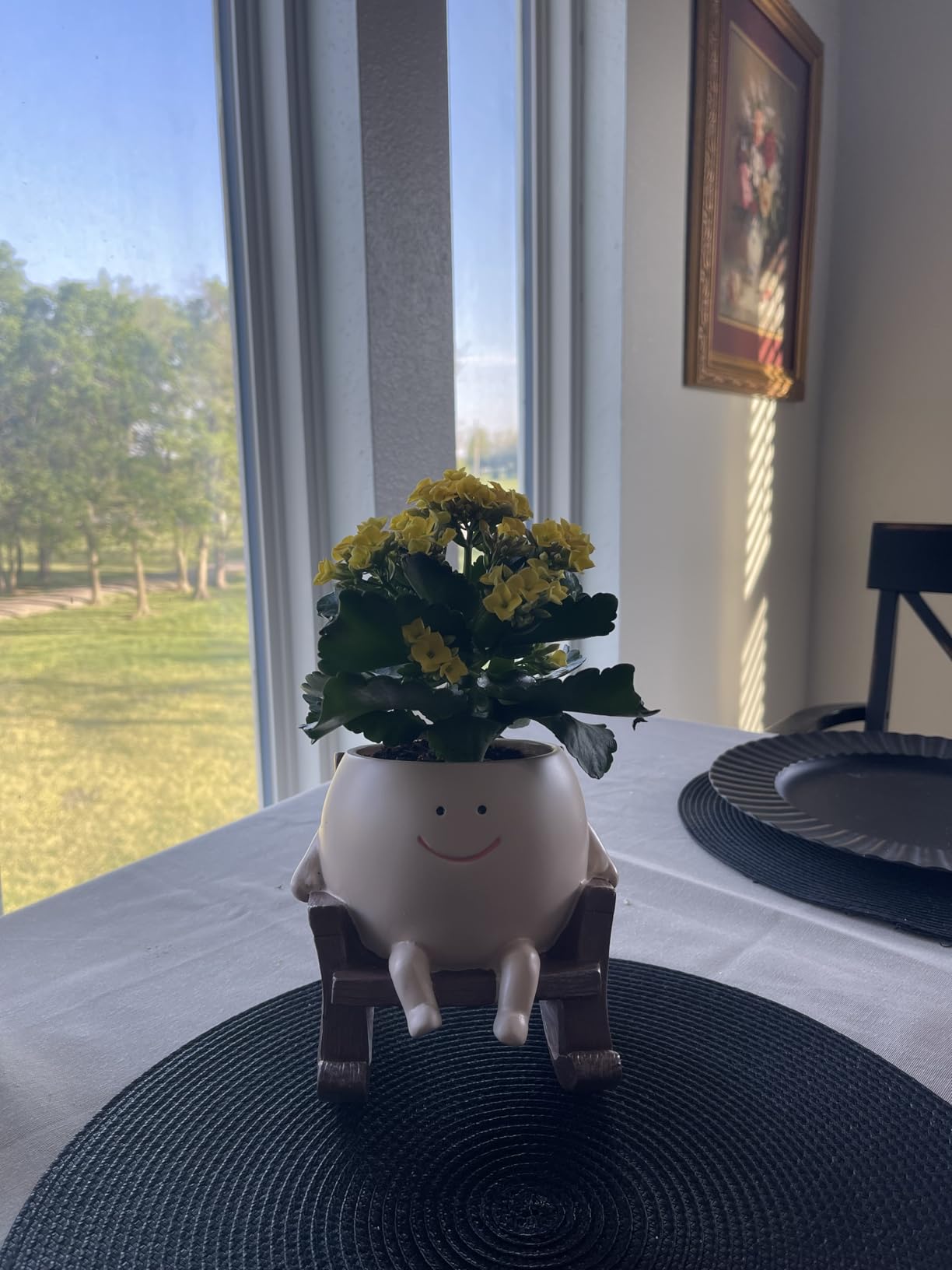 Smily Face Planter Pot Cute Resin Flower Head Planters for Indoor Outdoor Unique Sit Rocking Chair Succulent Pots - Customer Photo 1