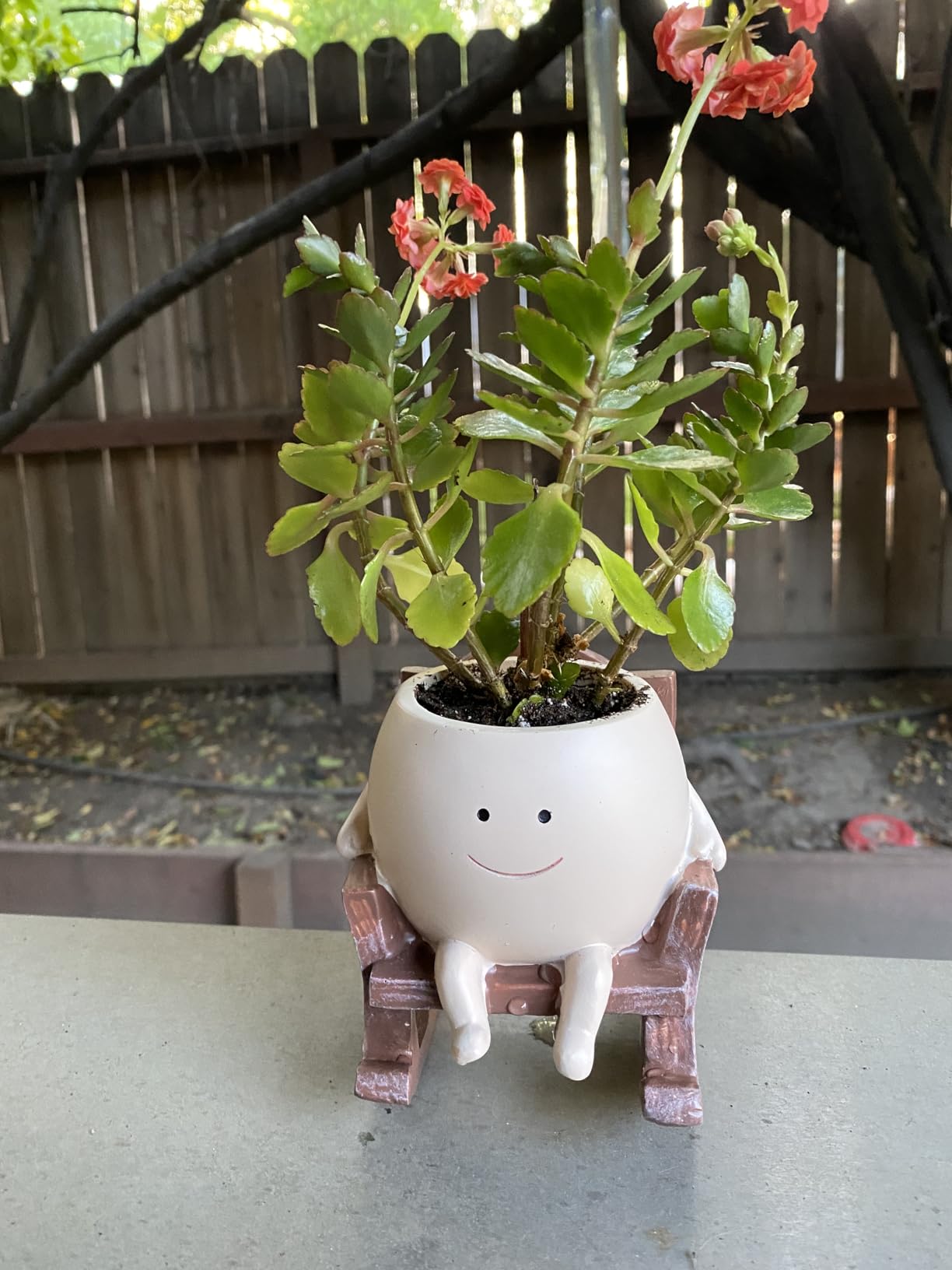 Smily Face Planter Pot Cute Resin Flower Head Planters for Indoor Outdoor Unique Sit Rocking Chair Succulent Pots - Customer Photo 2