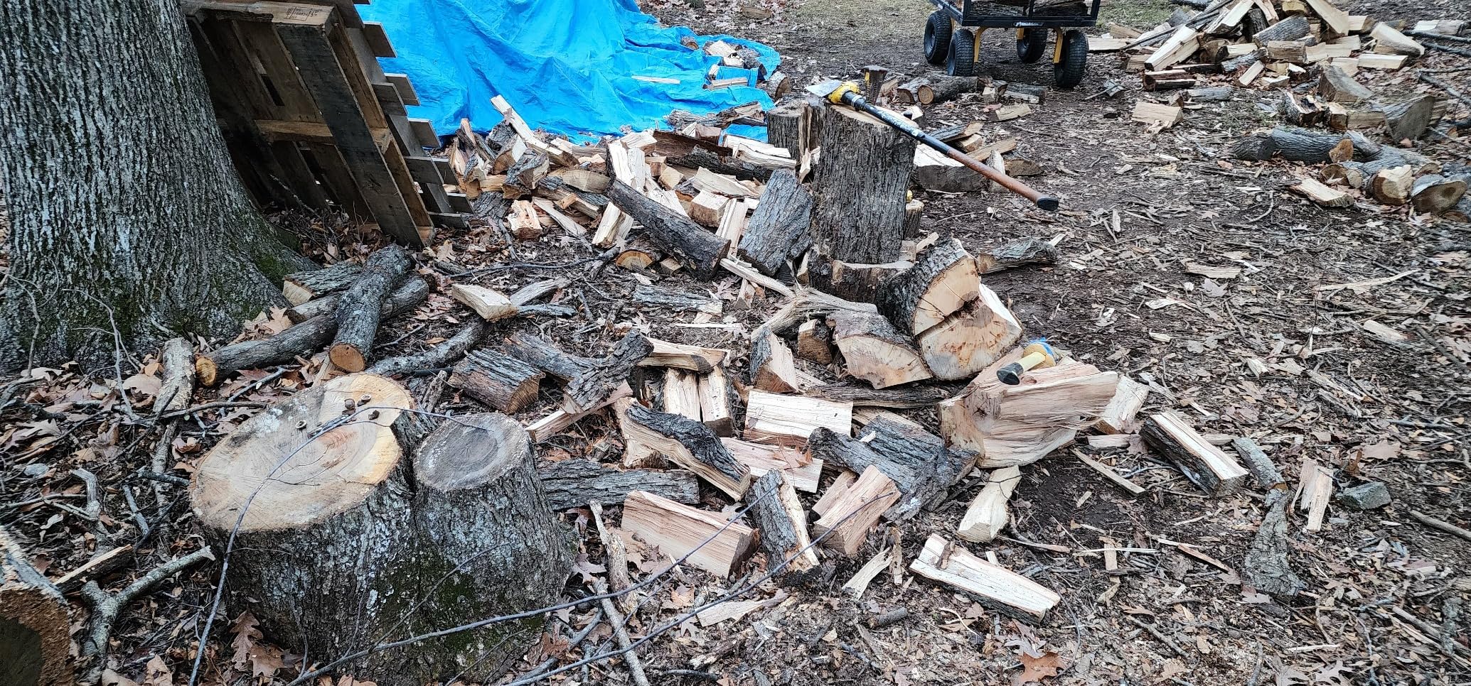 EGO POWER+ Chain Saw, 20 EGO POWER+ Chain Saw, 20