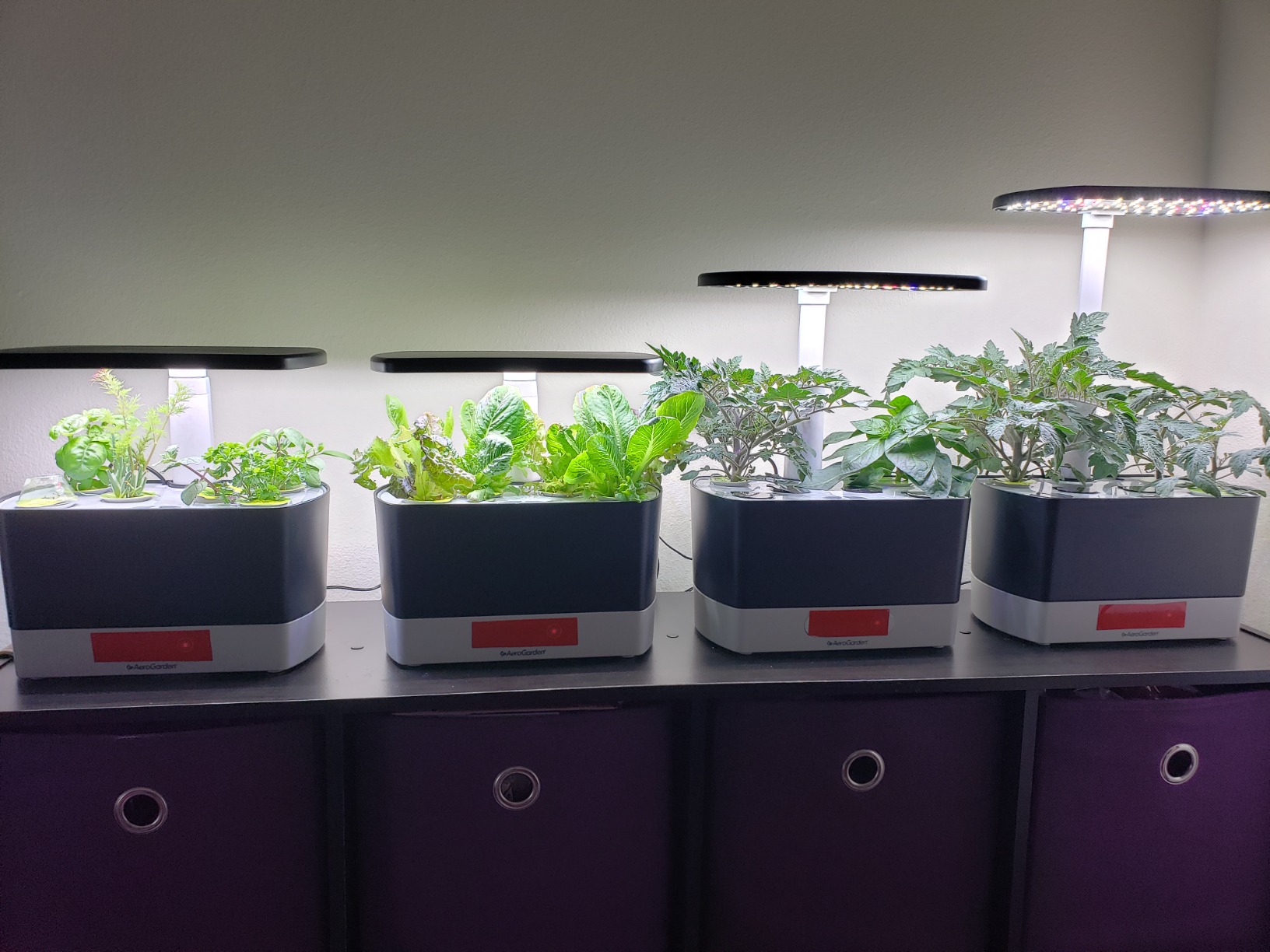 AeroGarden Harvest Lite in Black, Soil-Free Indoor Hydroponic Garden with LED Grow Light for Year-Round Gardening of up to 6 Herbs and Vegetables - Customer Photo 3