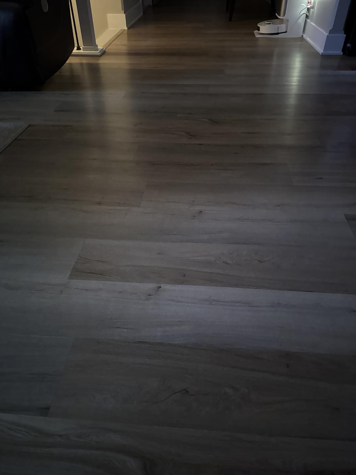 DREAME L10s Pro Ultra Heat Robot Vacuum and Mop Combo, Mop Extend, 7000Pa Suction, Auto Robot Care and Maintenance, 136°F Hot Water Mop Self-Cleaning, Obstacle Avoidance, Ideal for Hair, Carpets - Customer Photo 2