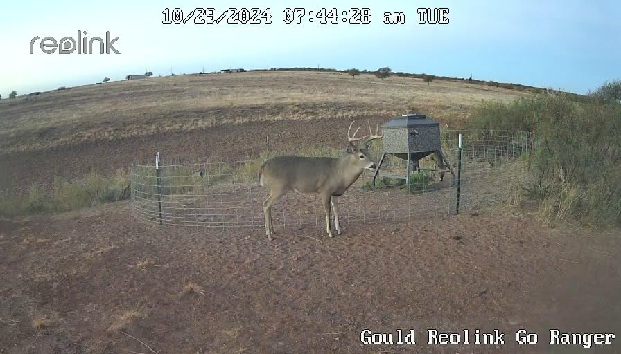 REOLINK 4K Dual Lens 4G LTE Cellular Security Camera, SIM Card Included, Wireless Auto Tracking Trail Camera, 6X Hybrid Zoom, No-Glow IR, Waterproof for Wildlife, TrackMix LTE Trail + Solar Panel 2 Customer Review REOLINK 4K Dual Lens 4G LTE Cellular Security Camera, SIM Card Included, Wireless Auto Tracking Trail Camera, 6X Hybrid Zoom, No-Glow IR, Waterproof for Wildlife, TrackMix LTE Trail + Solar Panel 2 - Customer Photo 1