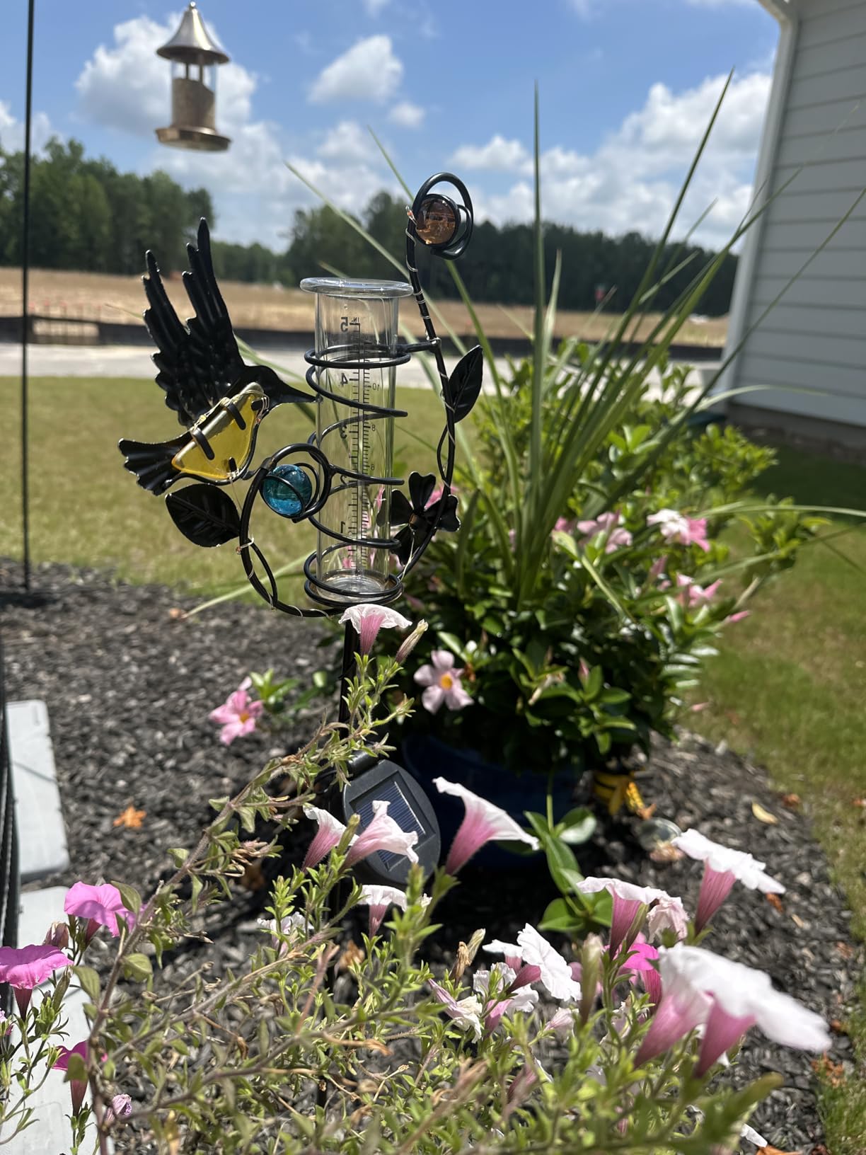 Butterfly Rain Gauge with 5 Inch Glass Tube, Solar Rain Gauge with LED Lights Rain Water Gauge Decor for Patio, Garden Yard, Measuring Precipitation - Customer Photo 1