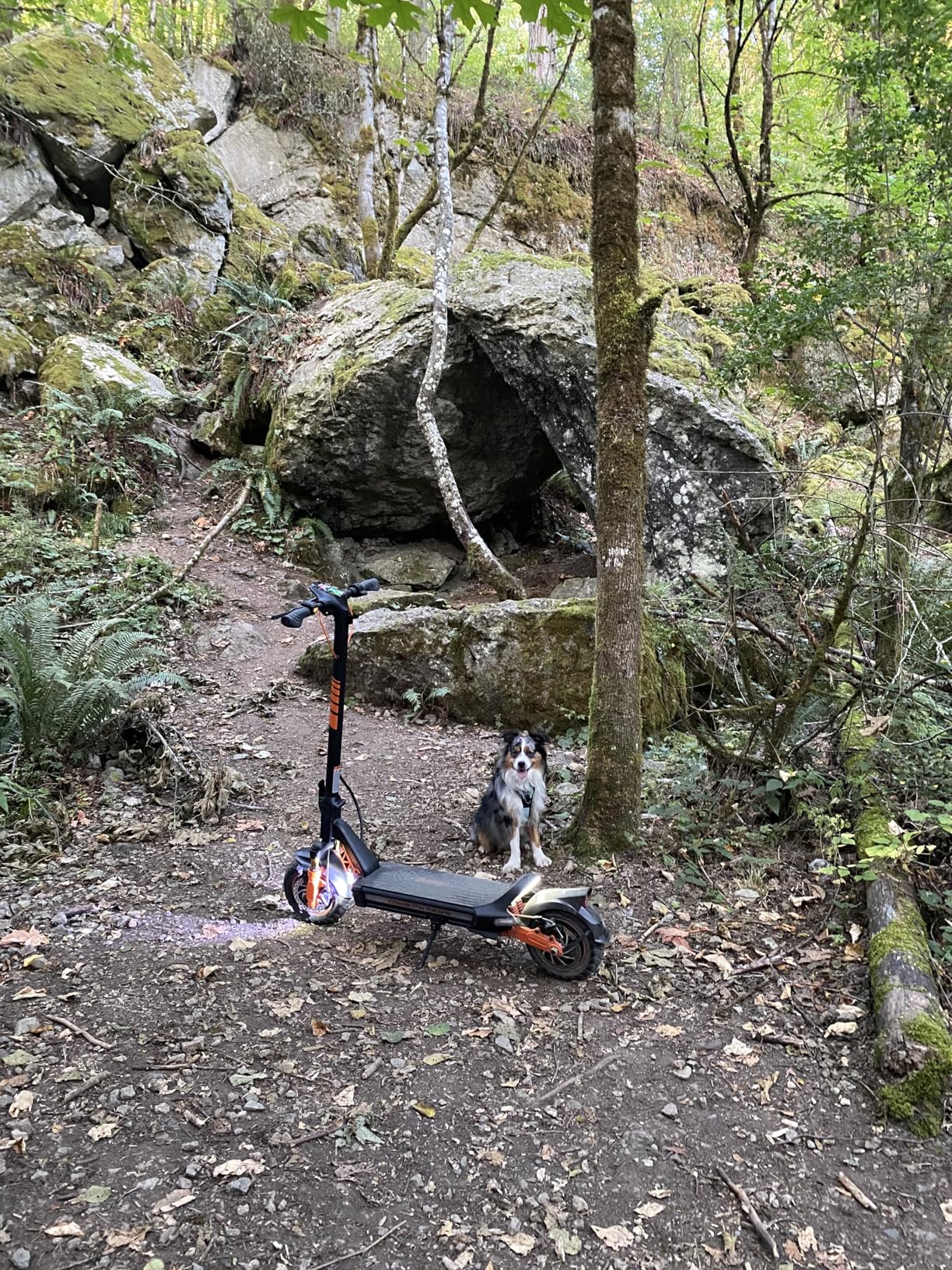 Electric Scooter Adult, 1600W*2 Dual Motor RZ1000, Up to 40-50 Miles Long Range/MAX Speed 31 Mph, Self-Sealing Off Road Tires with 1152Wh Battery & Dual Suspension Commuting Fast Electric Scooter customer photo 2