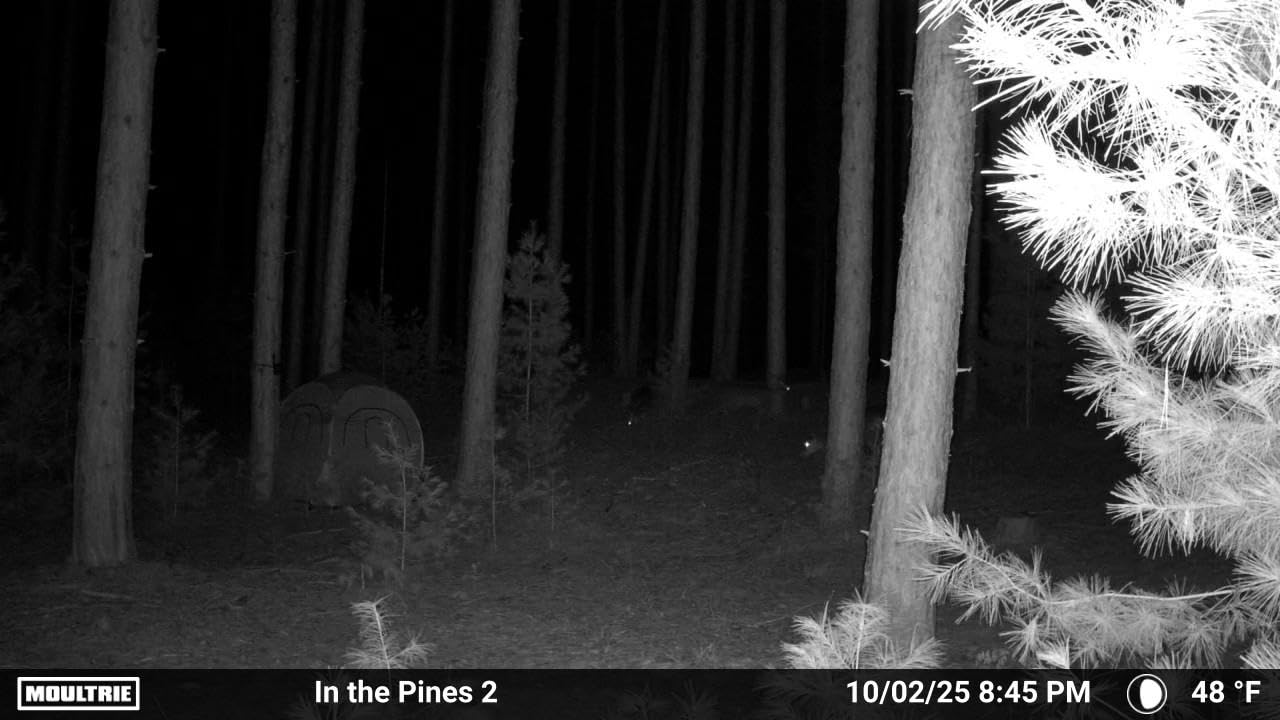 Moultrie Edge 2 Cellular Trail Camera - Auto Connect Nationwide 4G LTE - On Demand 36MP Photo - 1080P Video with HD Audio - 100 Ft Detection Range - Low Glow Flash Customer Review Moultrie Edge 2 Cellular Trail Camera - Auto Connect Nationwide 4G LTE - On Demand 36MP Photo - 1080P Video with HD Audio - 100 Ft Detection Range - Low Glow Flash - Customer Photo 2