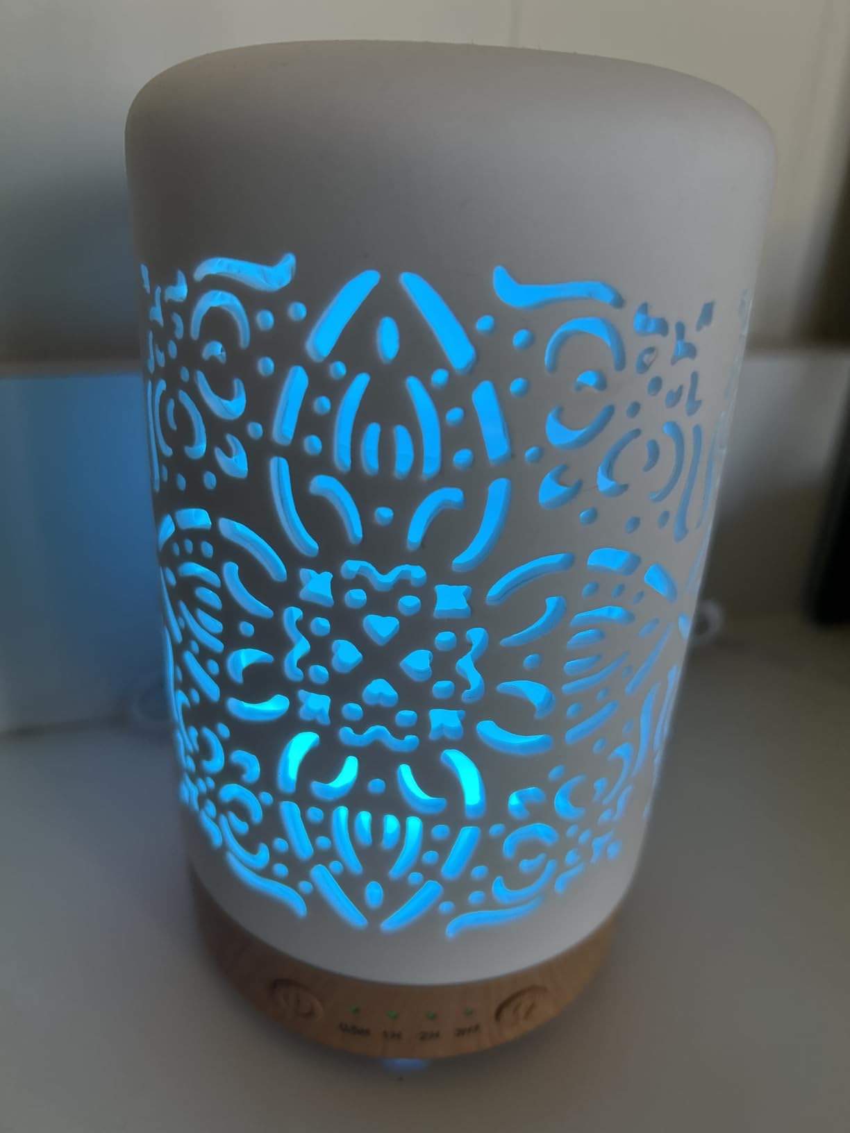 Earnest Living Waterless Diffuser 100ml Nebulizing Diffusion System for Studio Home Office Hotel Spa - Customer Photo 2