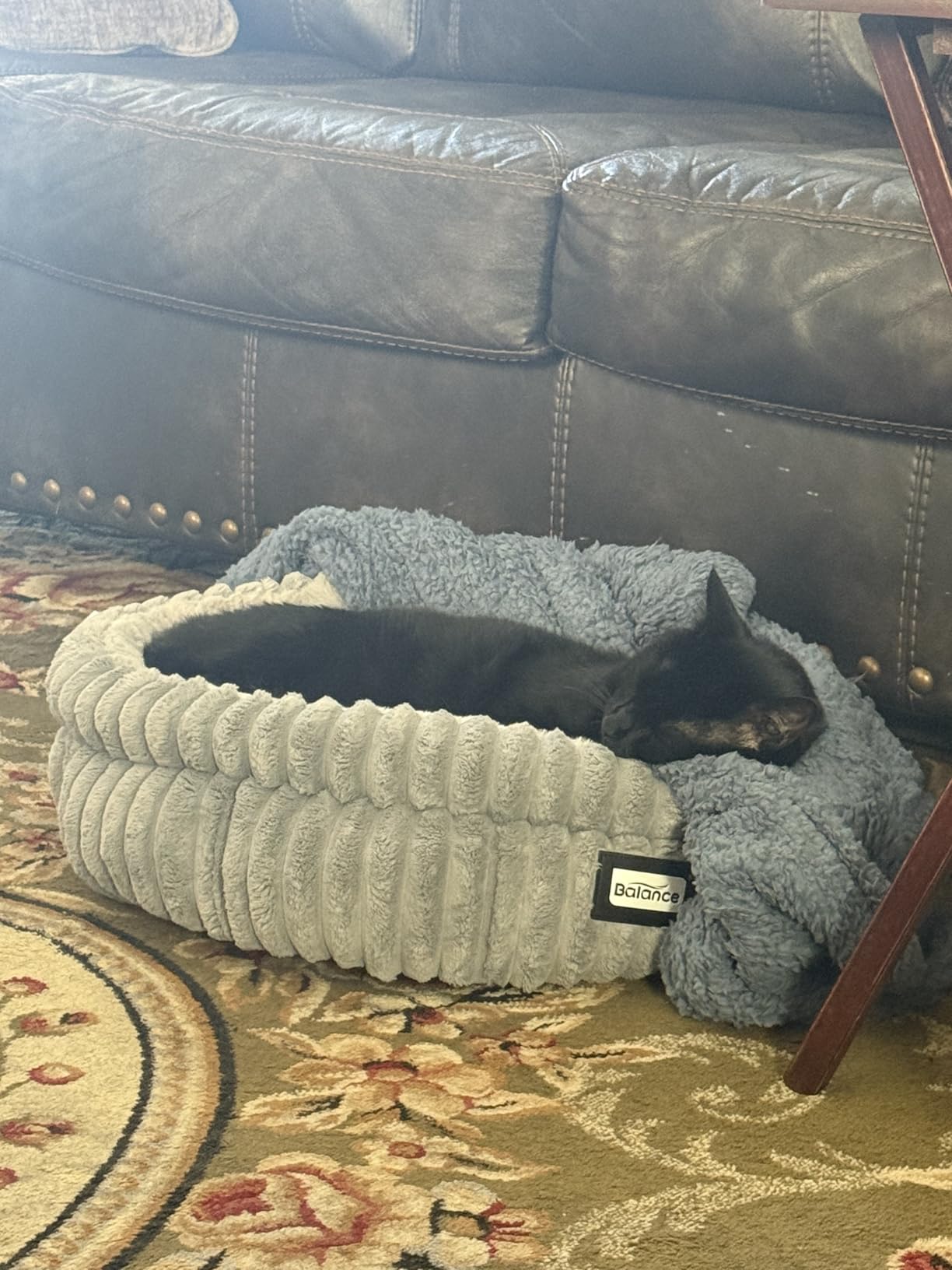 BALANCE Cat Bed Kitten Bed, Washable Round Cat Beds for Indoor Cats, Super Soft Plush Faux Fur Pet Bed for Puppy and Kitten with Anti-Slip Bottom - Customer Photo 1