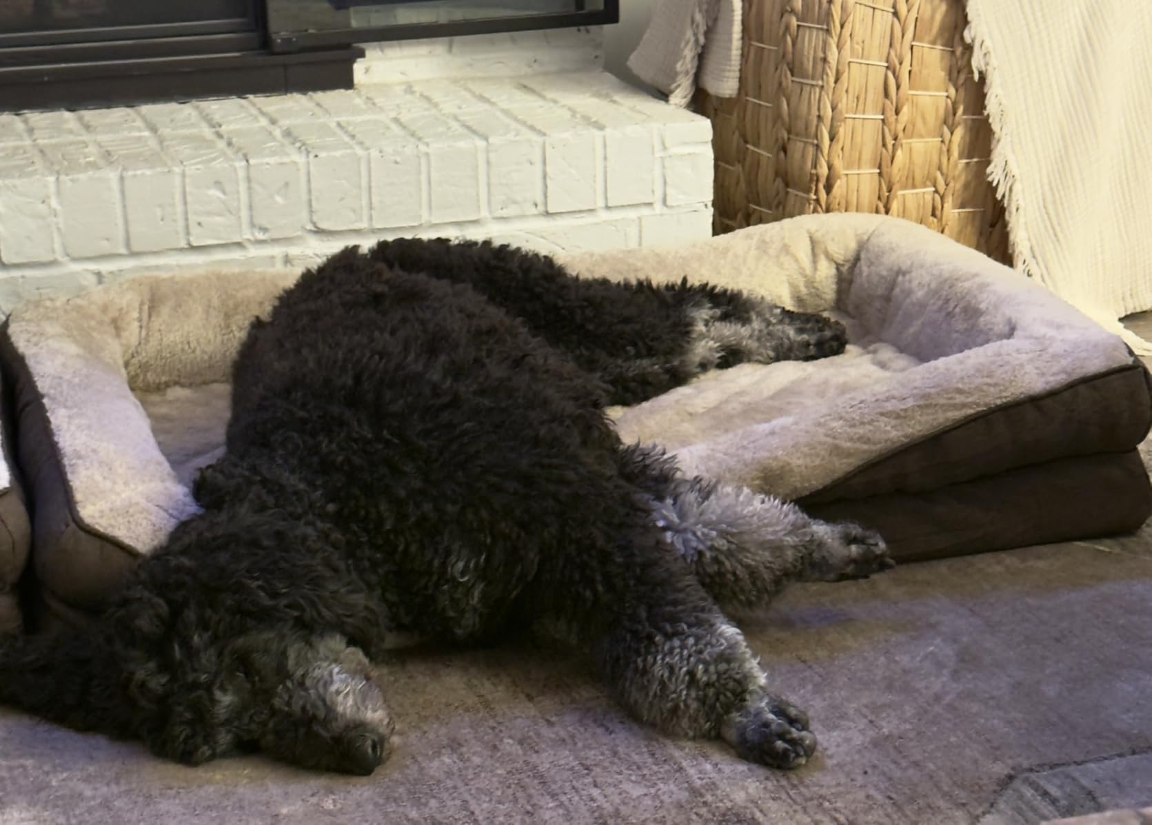 EHEYCIGA Orthopedic XL Dog Bed for Large Sized Dog, 42x30x7.5 Inch Extra Large Memory Foam Dog Couch Bed with Sides, Waterproof Liner & Washable Removable Cover, Bolster Pet Sofa, Grey - Customer Photo 2