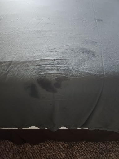 Cariloha Aloha Soft 4-Piece Sheet Set | Natural | Queen | Made from 100% Viscose derived from Bamboo | Introductory Sheet Line Customer Review Cariloha Aloha Soft 4-Piece Sheet Set | Natural | Queen | Made from 100% Viscose derived from Bamboo | Introductory Sheet Line - Customer Photo 2