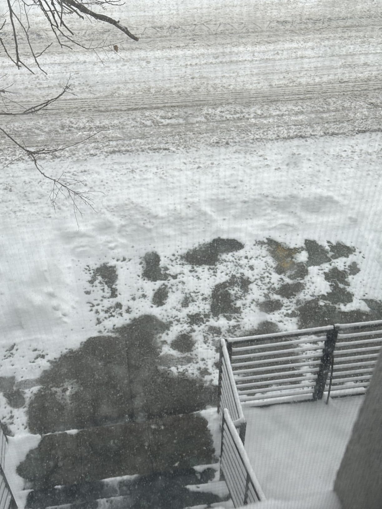 Blue Heat Snow & Ice Melter, Heat-Generating Pellets, Non-Staining Melt, 50 Lb Bag - Ice Remover for Driveway, Concrete, Sidewalk, and Outdoor Spaces - Customer Photo 1