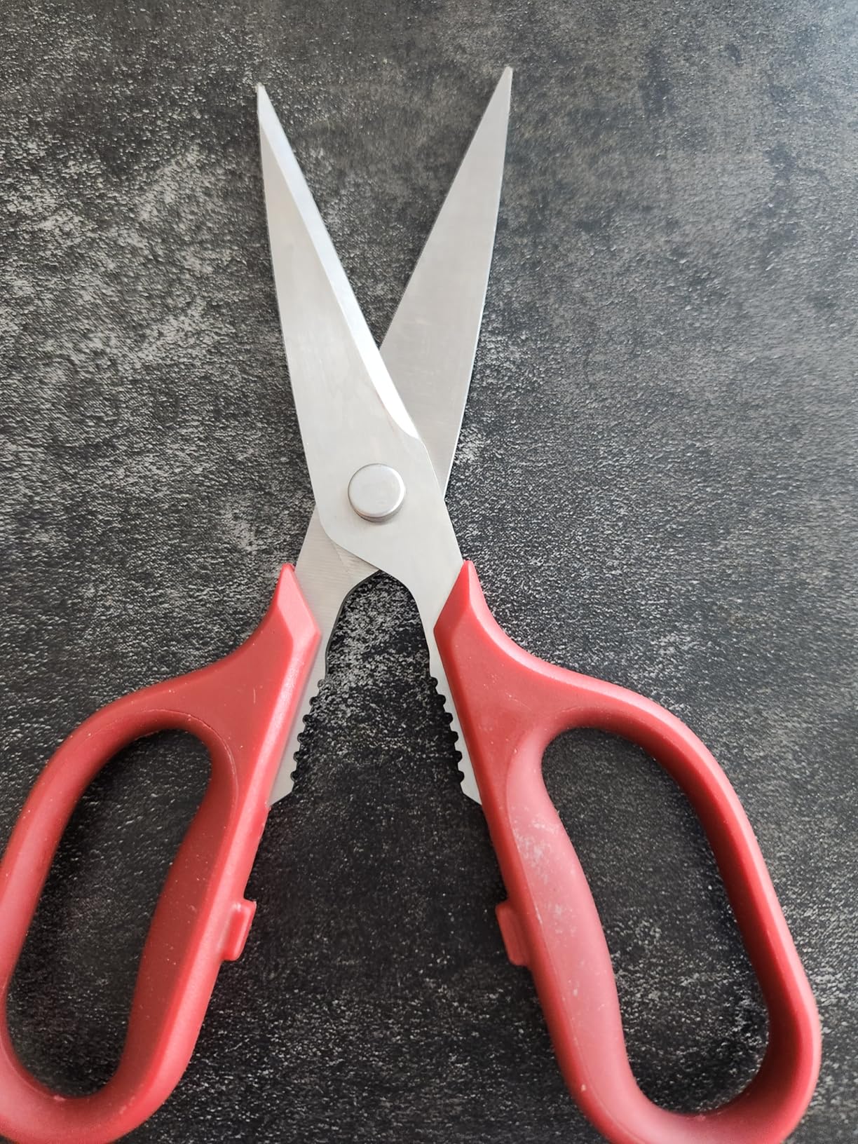 Misen Heavy Duty Kitchen Shears - Comfortable Ambidextrous Scissors for Meat, Poultry, Herbs & More - Easy to Clean - German Stainless Steel - Large | Green - Customer Photo 1