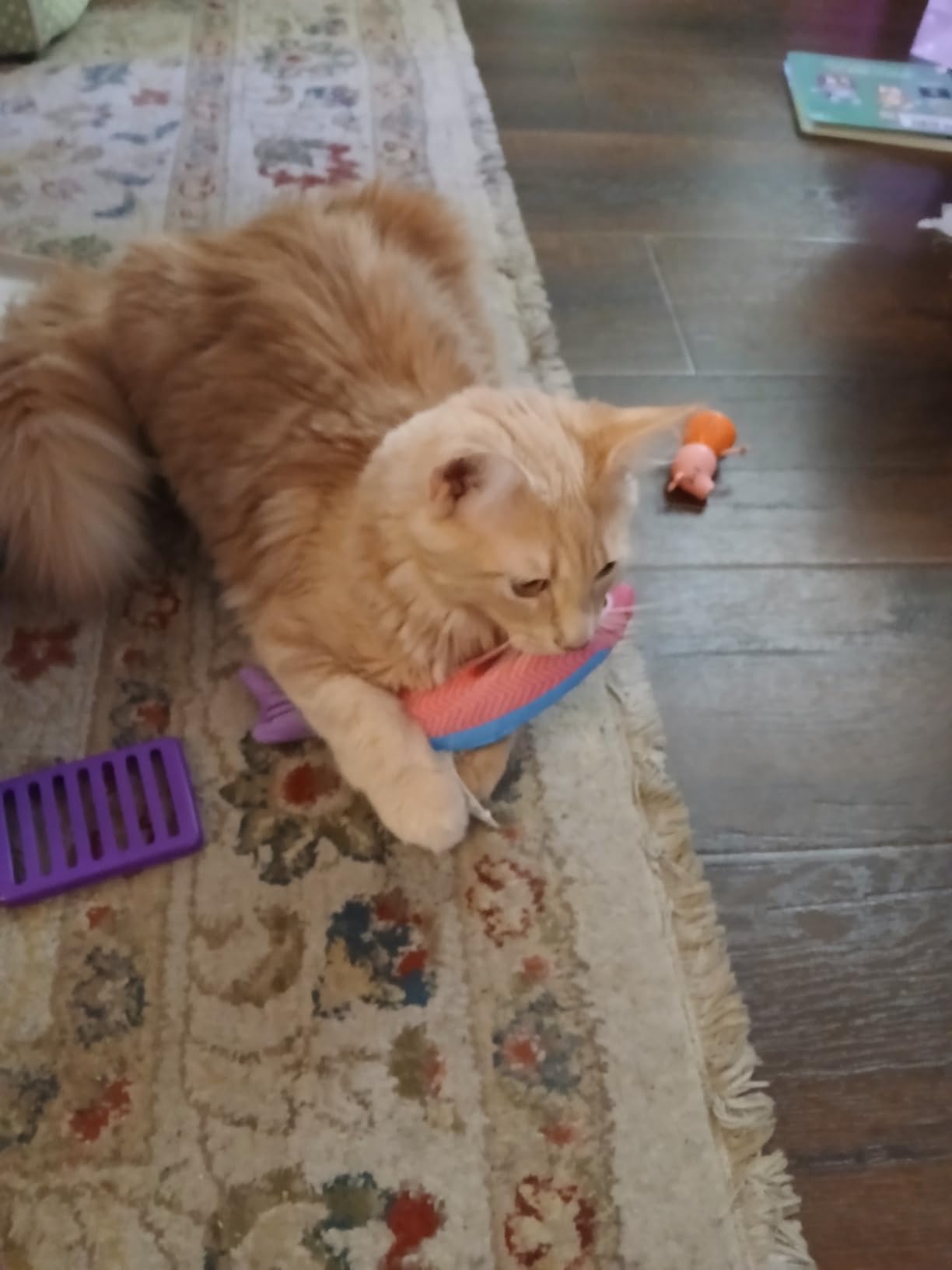 Cat Toys with[5000mg A+Natural Catnip &Silvervine] [Baby Grade] Interactive Soft Chew Kicker Cat Toys for Indoor Cats & Kittens, [Crinkle &Bell] Fish Sound Toy, Drives Bored Cat Crazy with Fun - Customer Photo 1
