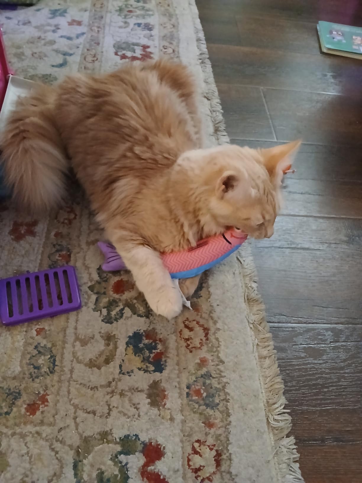 Cat Toys with[5000mg A+Natural Catnip &Silvervine] [Baby Grade] Interactive Soft Chew Kicker Cat Toys for Indoor Cats & Kittens, [Crinkle &Bell] Fish Sound Toy, Drives Bored Cat Crazy with Fun - Customer Photo 2