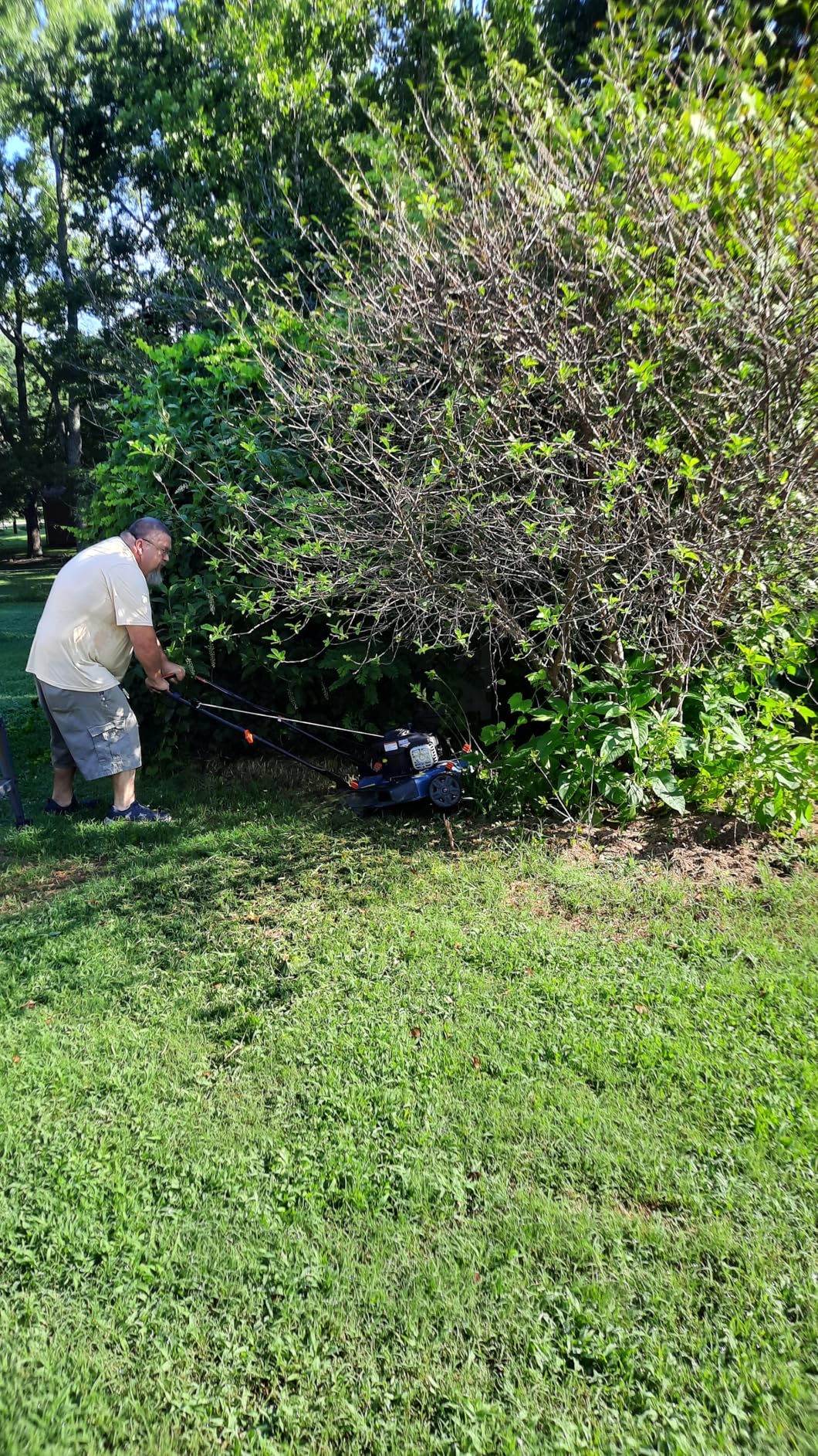 SENIX 144 cc Gas Lawn Mower, 21 inch 2-in-1 Push with Mulching and Side Discharge, 4-Cycle Engine, 6 Position Cutting Height Adjustment for Yard and Garden customer photo 2