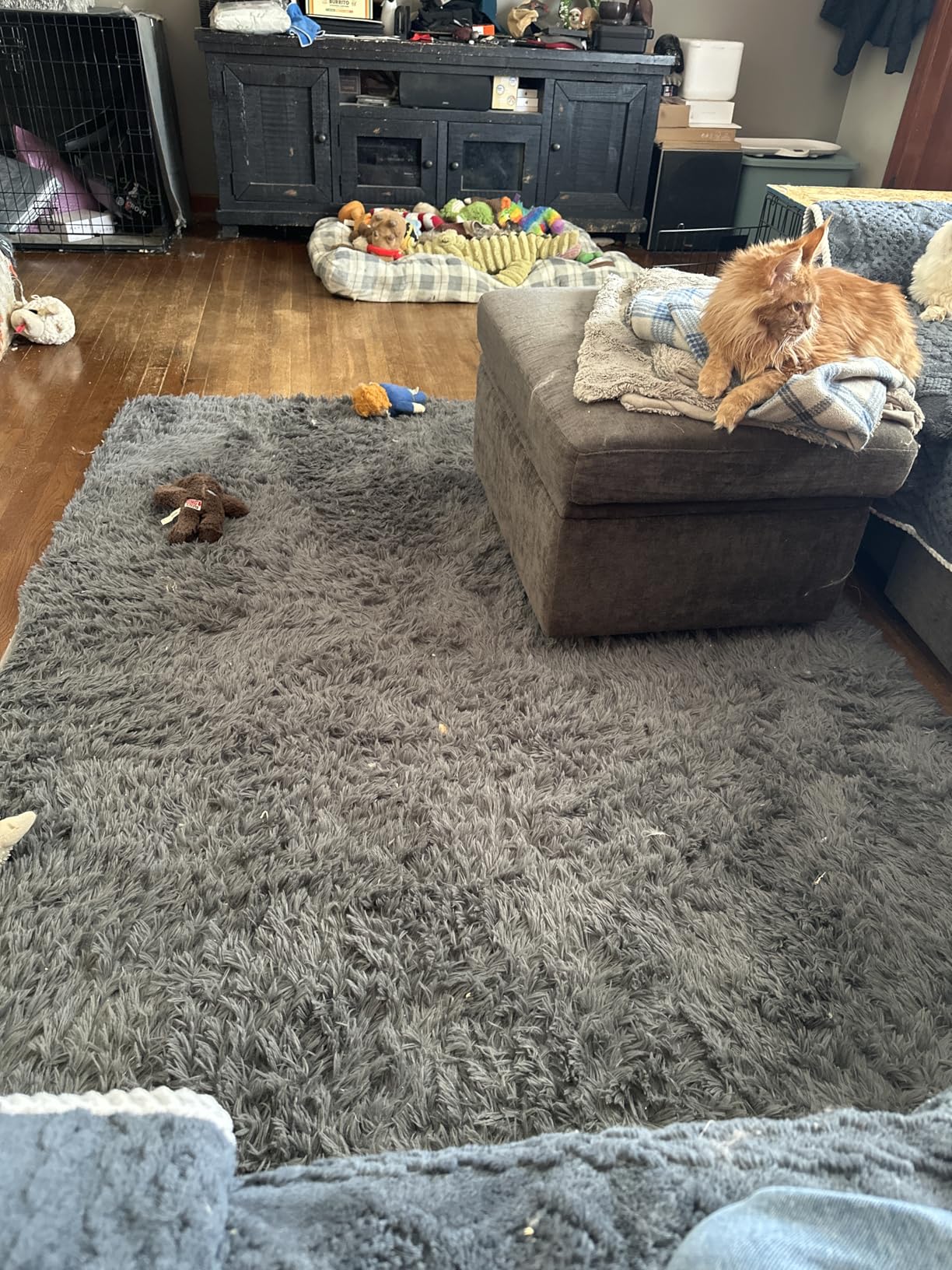 Amazon Basics Fluffy Washable Area Rug, Bedside Shaggy Carpet for Door Entryway, Living Room and Bedroom, 2' W × 3' L, Dark Gray Customer Review Amazon Basics Fluffy Washable Area Rug, Bedside Shaggy Carpet for Door Entryway, Living Room and Bedroom, 2' W × 3' L, Dark Gray - Customer Photo 1