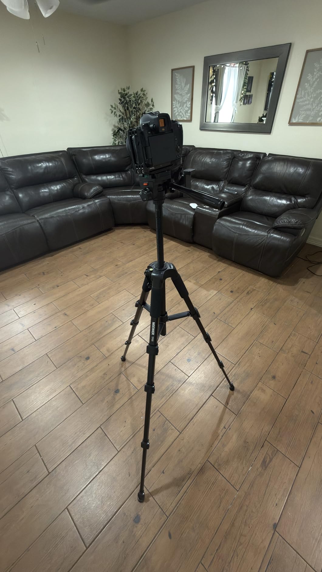 NEEWER Entry Level Version Tripod for Cell Phone & Camera, Metal Lightweight Portable Travel Stand with Cold Shoe Cellphone Holder Mount Compatible with iPhone for Video Recording Filming, TP53 Customer Review NEEWER Entry Level Version Tripod for Cell Phone & Camera, Metal Lightweight Portable Travel Stand with Cold Shoe Cellphone Holder Mount Compatible with iPhone for Video Recording Filming, TP53 - Customer Photo 1
