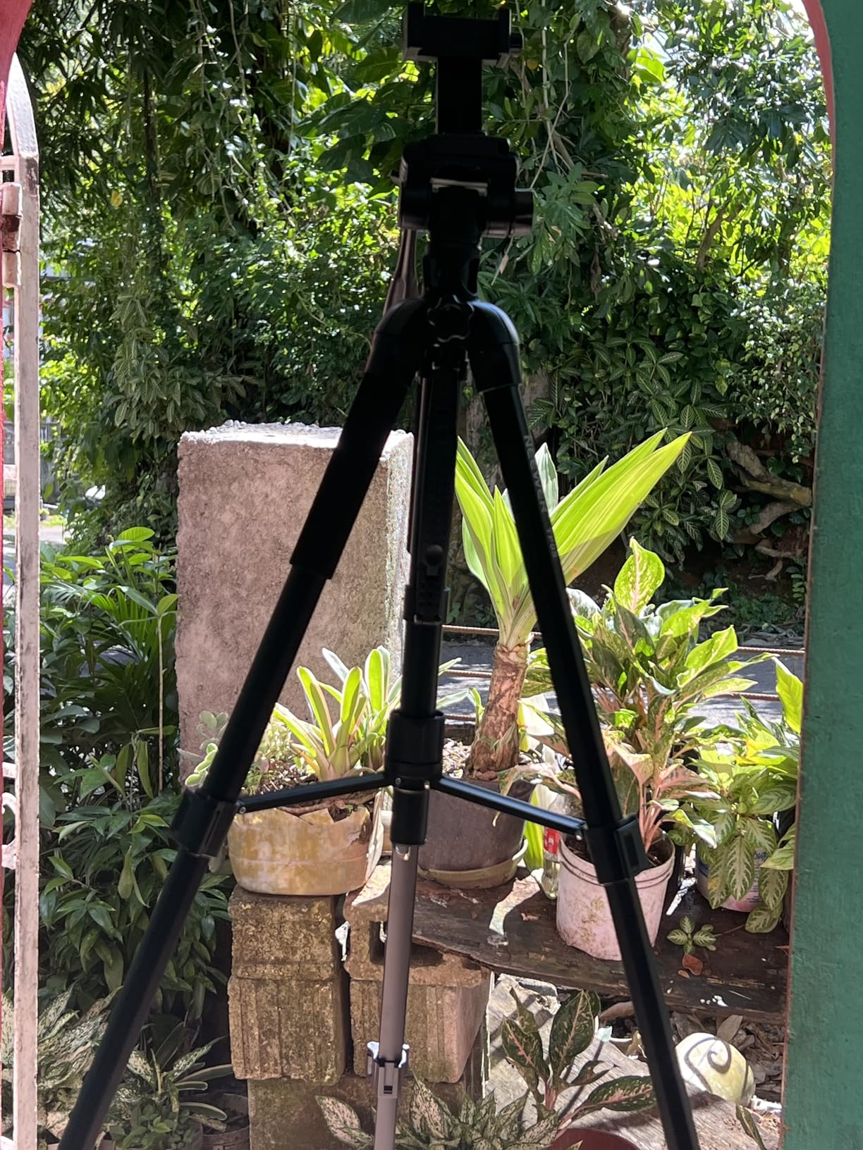 NEEWER Entry Level Version Tripod for Cell Phone & Camera, Metal Lightweight Portable Travel Stand with Cold Shoe Cellphone Holder Mount Compatible with iPhone for Video Recording Filming, TP53 Customer Review NEEWER Entry Level Version Tripod for Cell Phone & Camera, Metal Lightweight Portable Travel Stand with Cold Shoe Cellphone Holder Mount Compatible with iPhone for Video Recording Filming, TP53 - Customer Photo 2