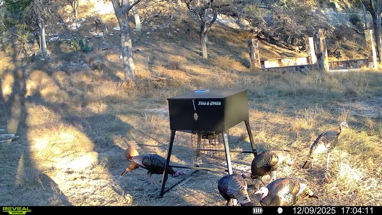 TACTACAM Reveal Ultra Cellular Trail Camera: 4K Photo, 1080p Video, Live View, GPS Tracking-Enabled, Switchable No-Glow/Low-Glow Flash, LTE Connectivity, LCD Screen - Best Hunting, Game Camera customer photo 2