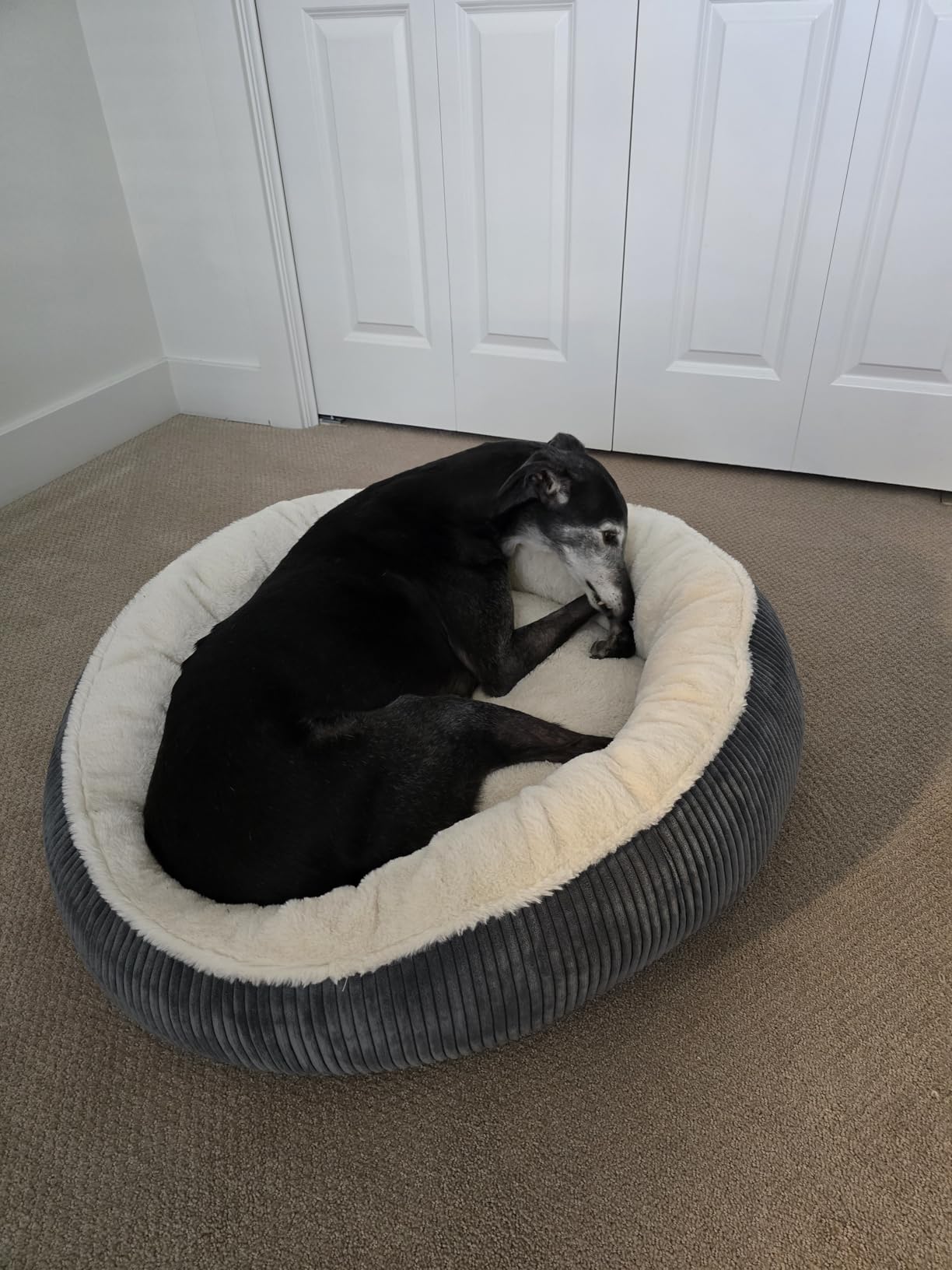 36 inches Donut Dog Bed for Large Dogs - Calming Round Pet Bed with Removable&Washable Cover, Plush Faux Fur & Corduroy, Fits Pets up to 80 lbs(Dark Grey, Large) - Customer Photo 2