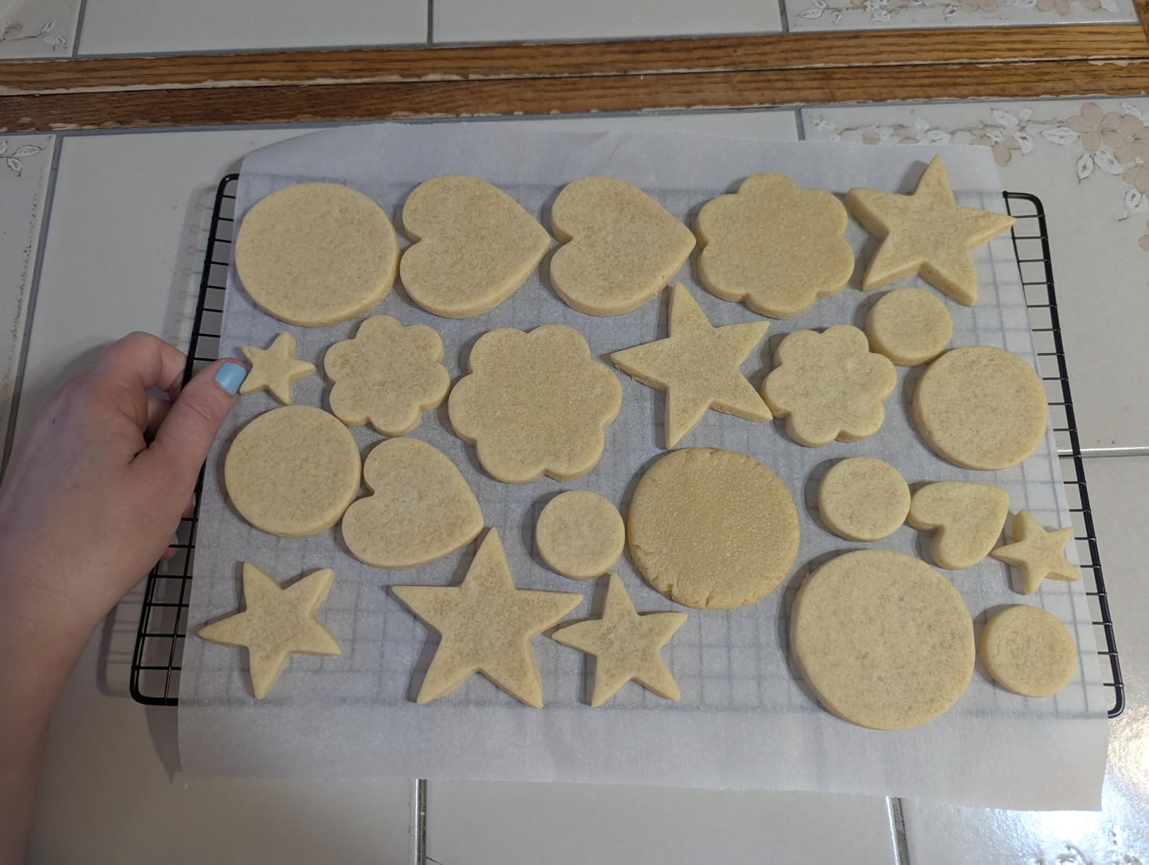 Stainless Steel Cookie Cutters Set 12Pcs - Heart, Flower, Round, Five Star Shapes - Small to Mini Size, Metal Biscuit Cutter Molds for Baking or Holiday Party Decorations Customer Review Stainless Steel Cookie Cutters Set 12Pcs - Heart, Flower, Round, Five Star Shapes - Small to Mini Size, Metal Biscuit Cutter Molds for Baking or Holiday Party Decorations - Customer Photo 1