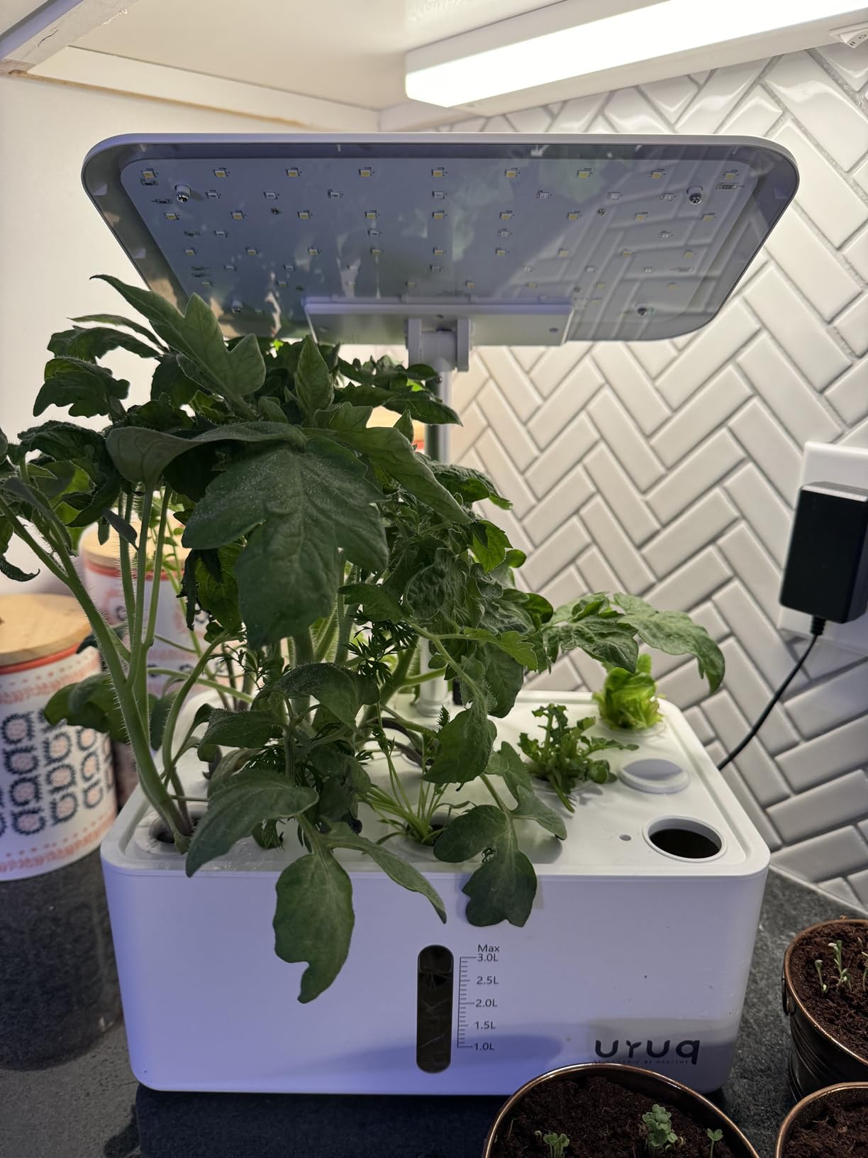 Hydroponics Growing System Garden: 8 Pods Indoor Herb Garden with Grow Light Plants Germination Kit Quiet Automatic Hydroponic Height Adjustable - Gardening Gifts for Women Kitchen - Customer Photo 5