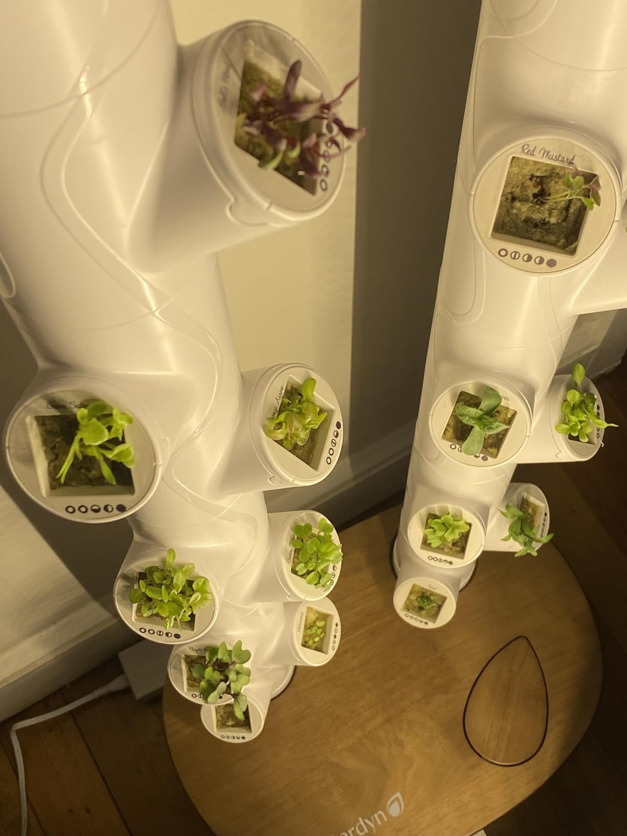 Gardyn Studio 1 Vertical Hydroponics Growing System Kit - 16 Non-GMO Plants, Herbs, Vegetables - Tower Garden - Hydroponic Herb Garden Planter Indoor Kit - Indoor Gardening System with LED Grow Lights - Customer Photo 1