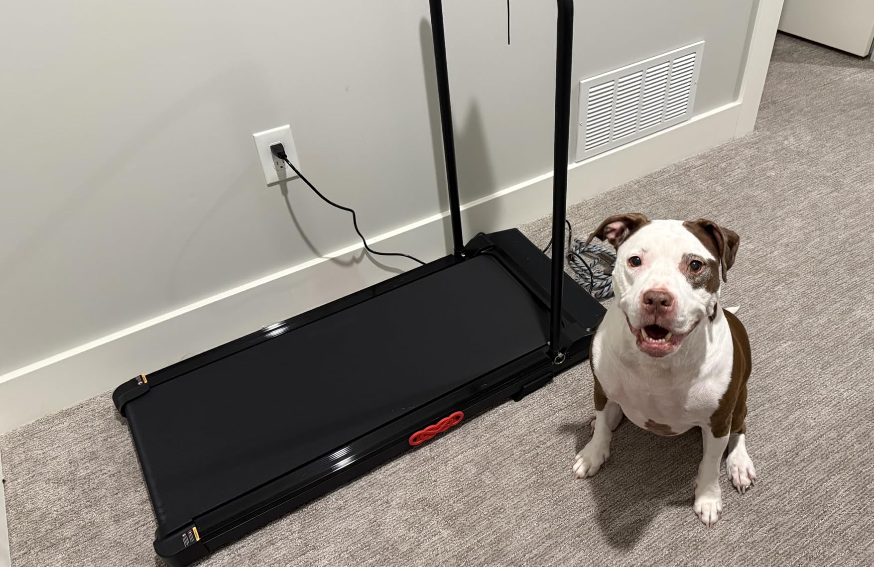 KASSADIN Walking Pad with Handle Bar, 2026 Upgrade Portable Small Treadmill with Handles for Home Small, 3.0HP Under Desk Walking Pad Treadmill with Incline, 0.6-7.6MPH, 350LBS customer photo 1