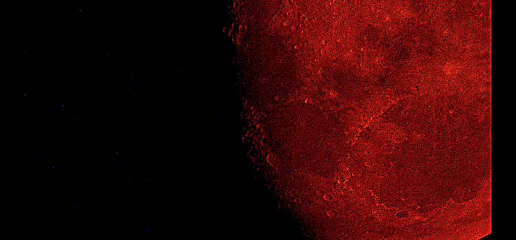 Celestron 114LCM Computerized Newtonian Telescope - Motorized Altazimuth GoTo Mount - 114mm Reflector customer photo 1