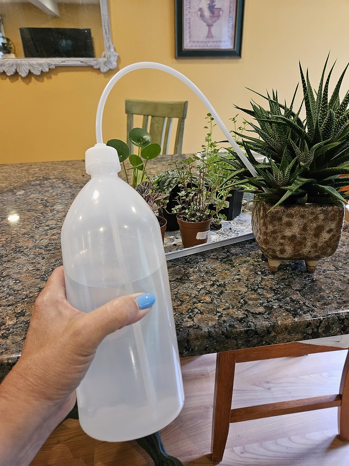 EISCO Wash Bottle, 1000ml - Polyethylene - Translucent, Unbreakable - Screw Cap with Flexible Delivery Tube for Dispensing Liquid - Includes Tube Cap customer photo 2