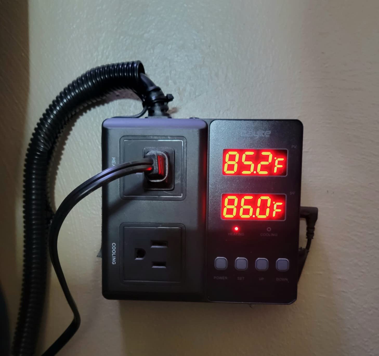 Temperature Controller 1650W 15A BTC211 Dual Digital Outlet Thermostat Plug, Pre-Wired, 2 Stage Heating and Cooling Mode, 110V - 240V, Fermentation BBQ Reptile Aquarium customer photo 1