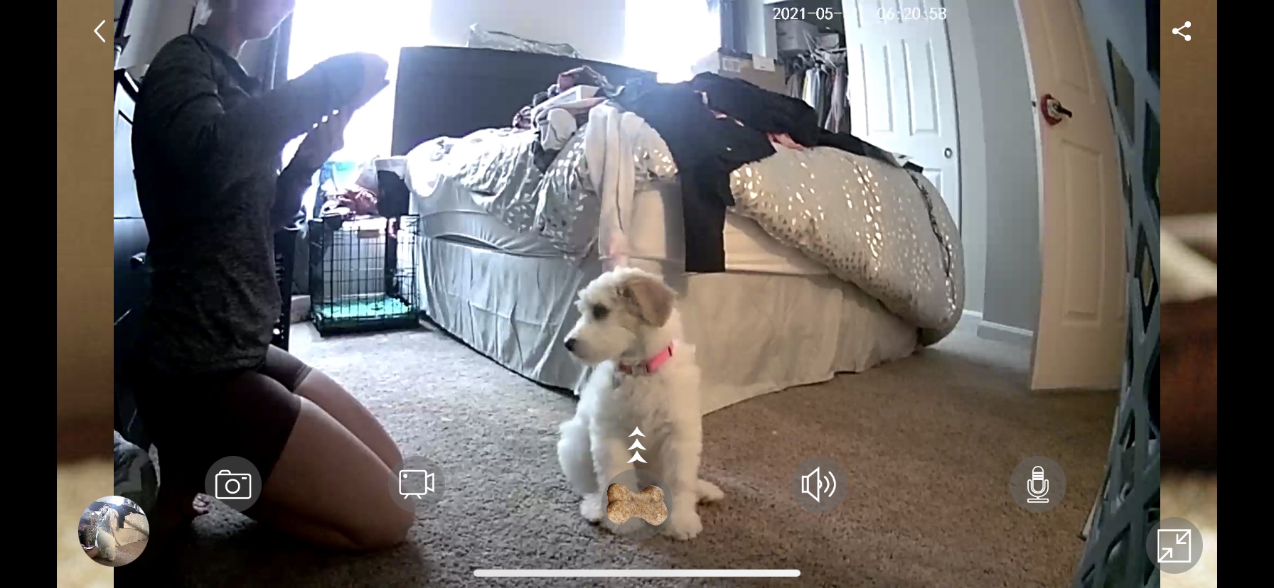Dog Camera Treat Dispenser, WiFi Full HD Pet Camera with Two-Way Audio and Night Vision, Compatible with Alexa (2.4G WiFi ONLY) customer photo 2